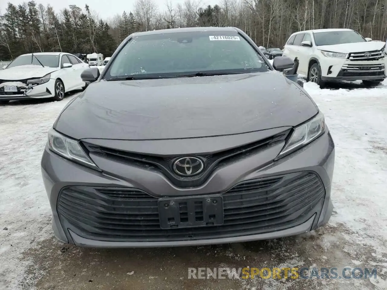 5 Photograph of a damaged car 4T1B11HKXKU250516 TOYOTA CAMRY 2019
