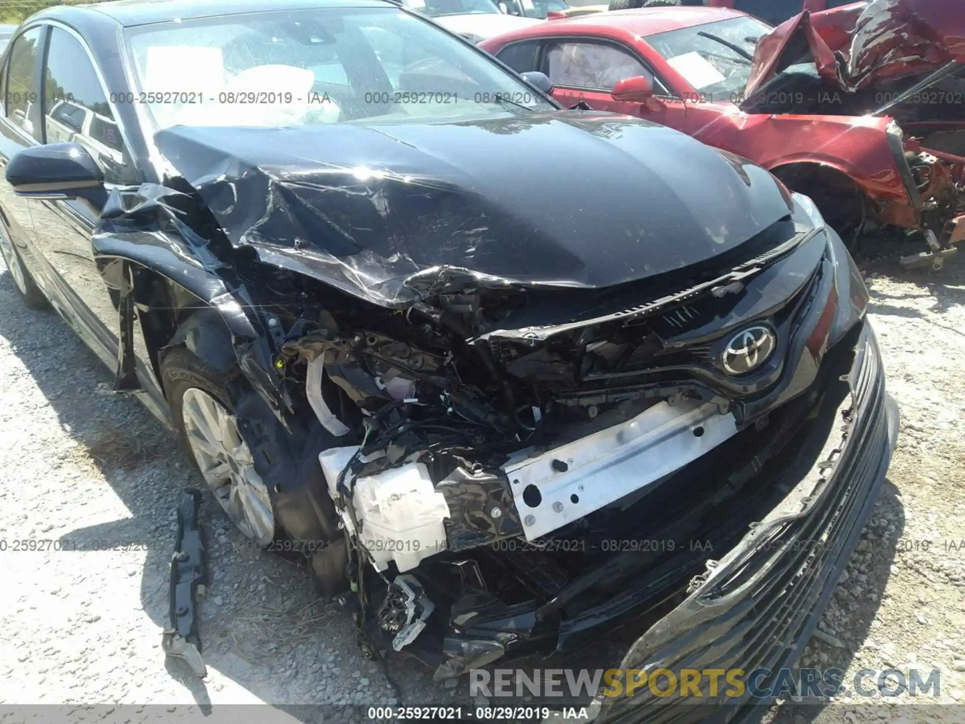 6 Photograph of a damaged car 4T1B11HKXKU270216 TOYOTA CAMRY 2019