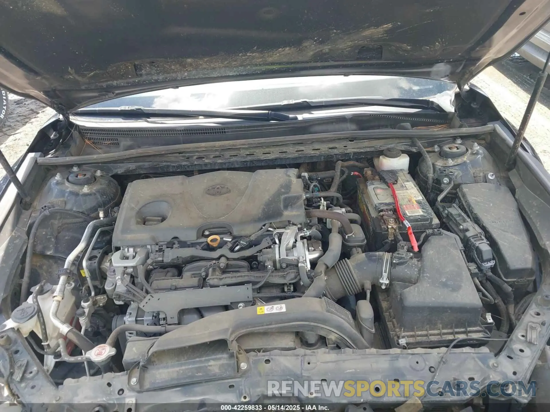 10 Photograph of a damaged car 4T1B11HKXKU282043 TOYOTA CAMRY 2019