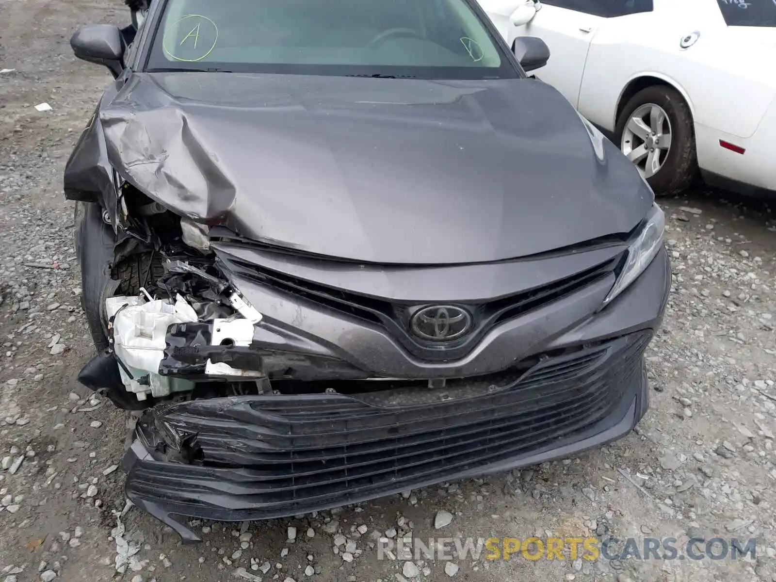 7 Photograph of a damaged car 4T1B11HKXKU290529 TOYOTA CAMRY 2019