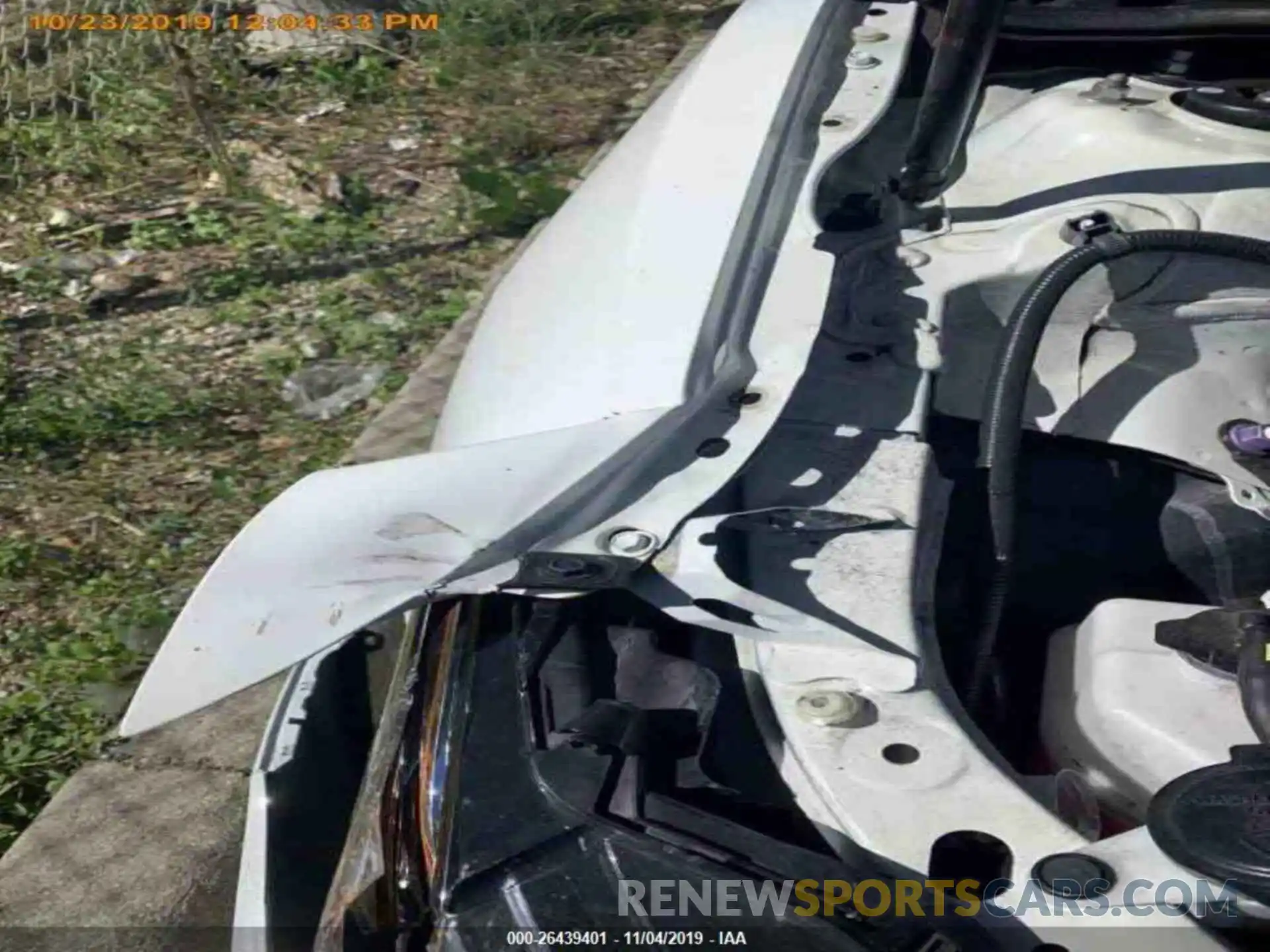 14 Photograph of a damaged car 4T1B11HKXKU680742 TOYOTA CAMRY 2019