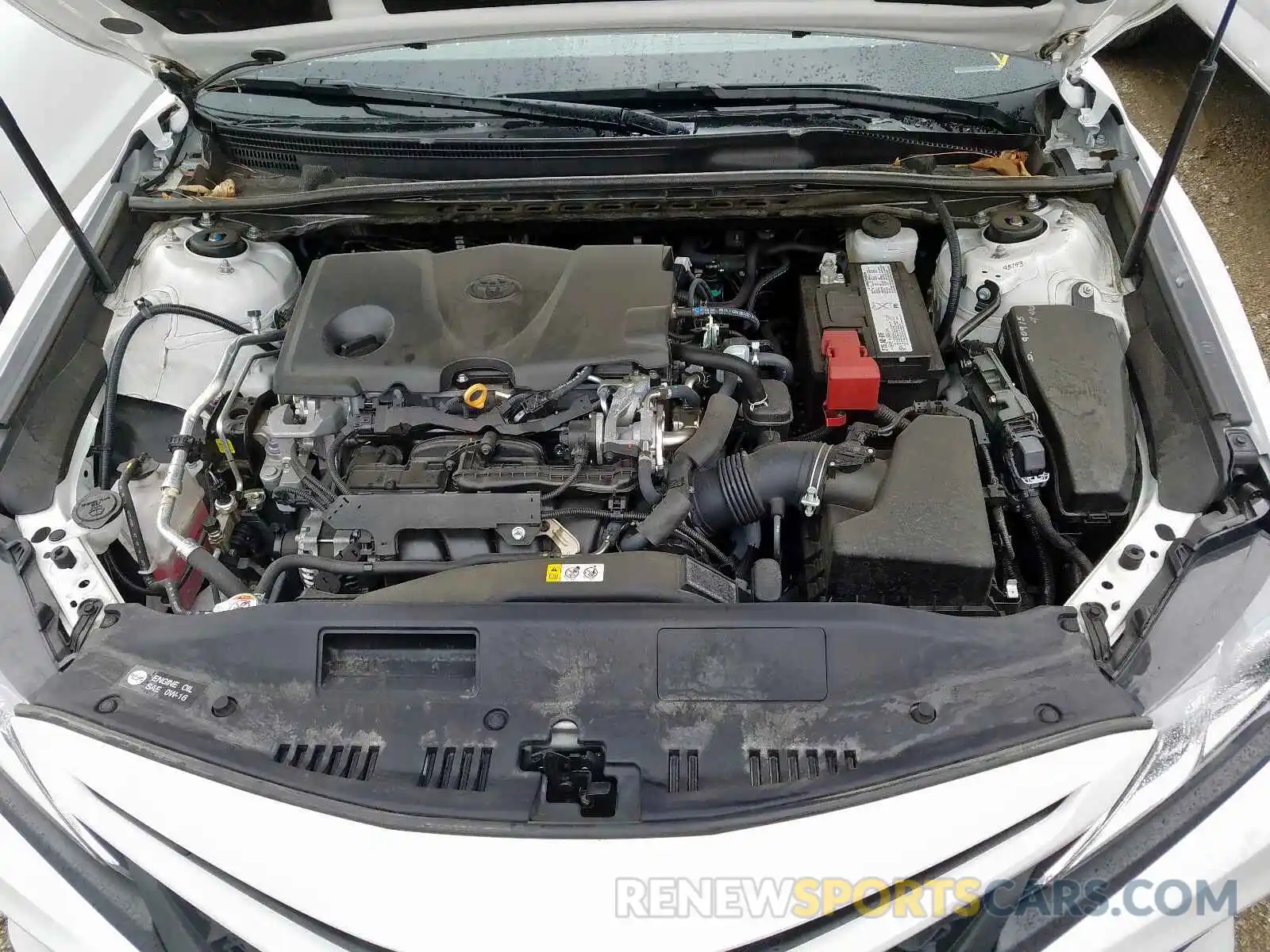 7 Photograph of a damaged car 4T1B11HKXKU698156 TOYOTA CAMRY 2019