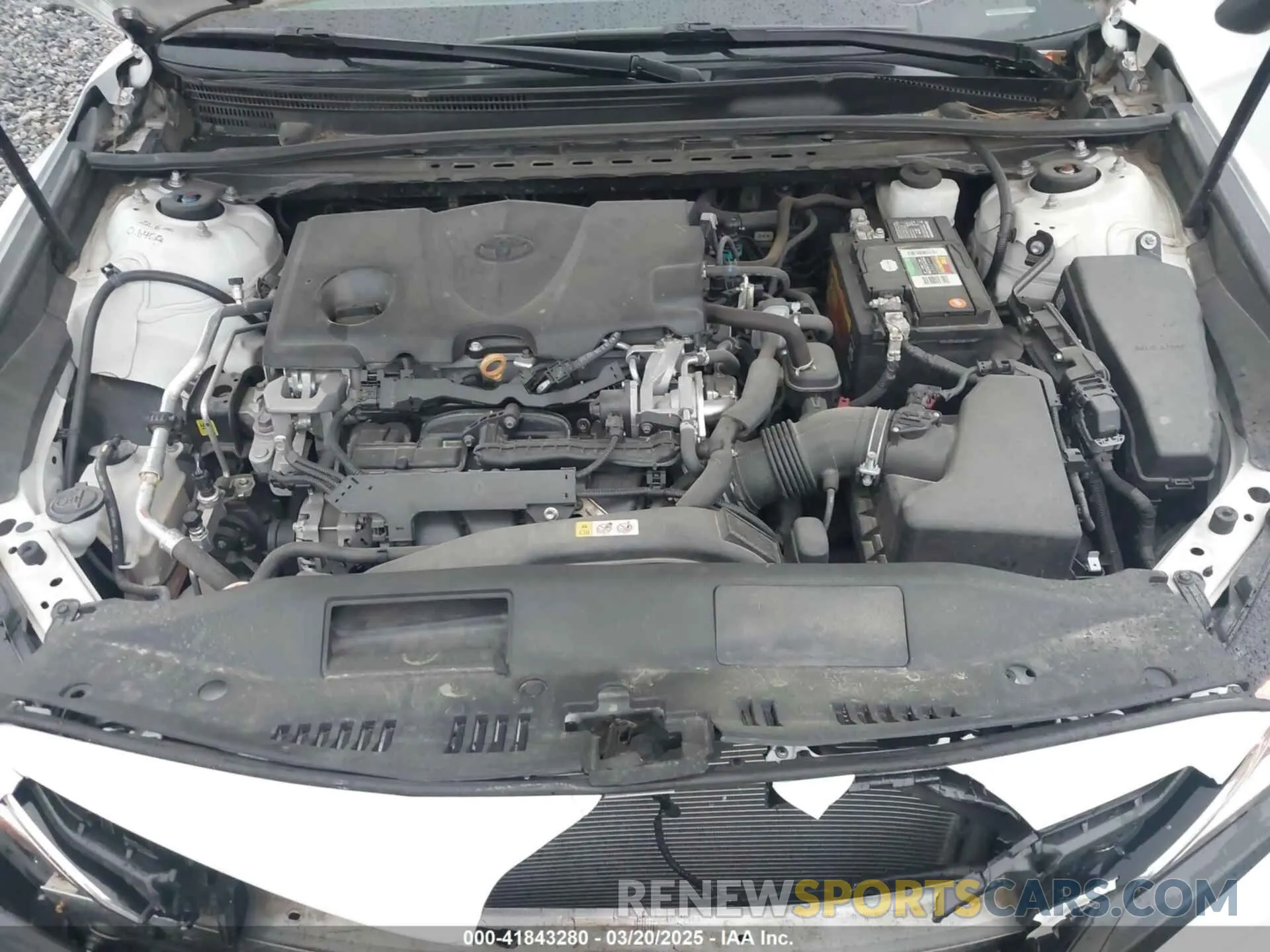10 Photograph of a damaged car 4T1B11HKXKU706000 TOYOTA CAMRY 2019