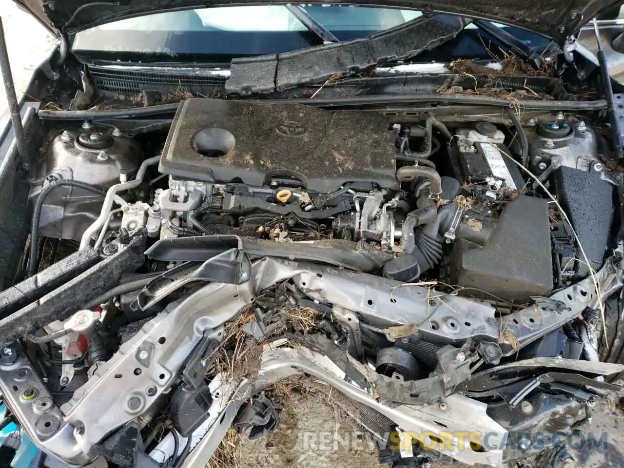 7 Photograph of a damaged car 4T1B11HKXKU728076 TOYOTA CAMRY 2019