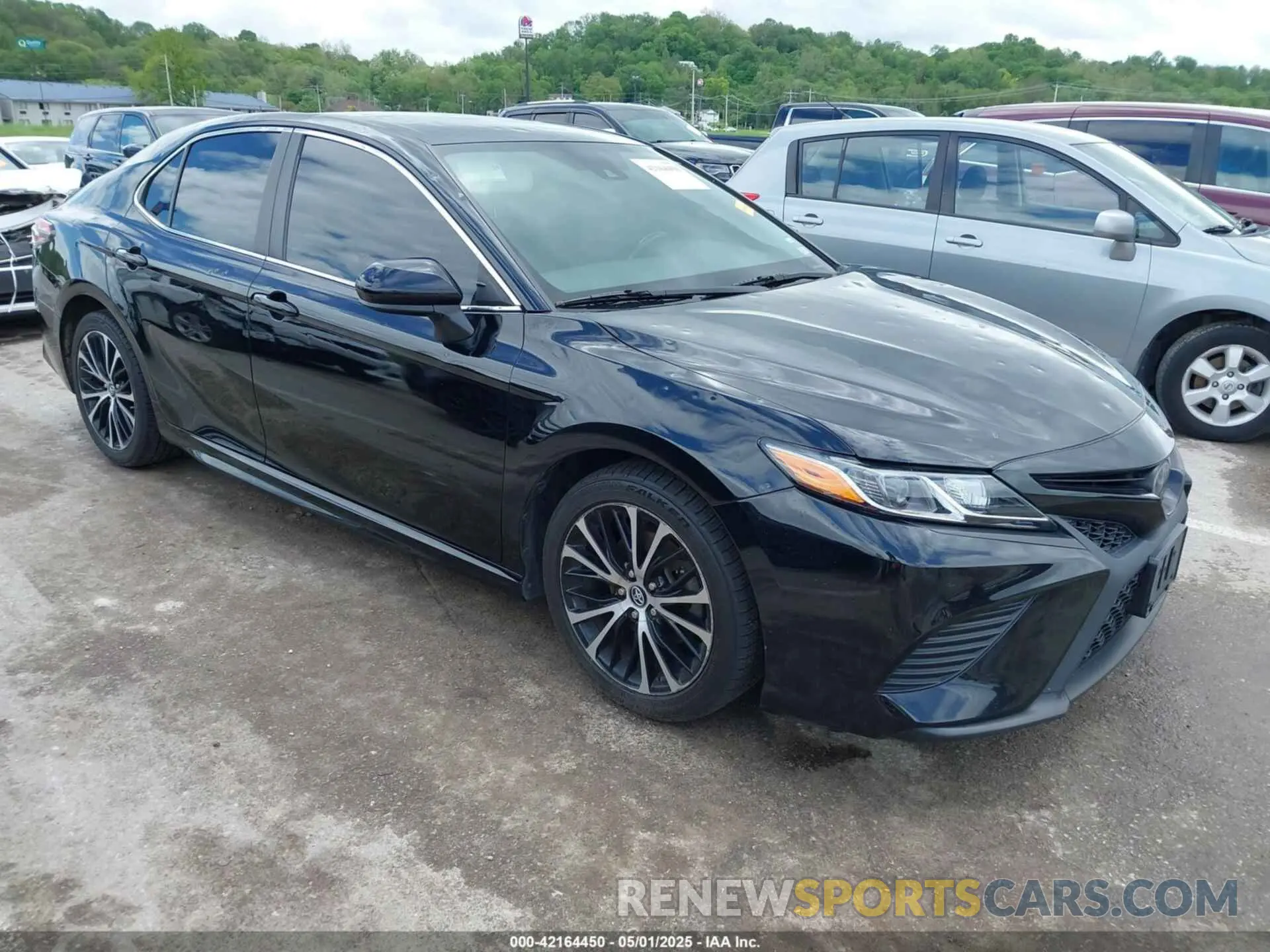 1 Photograph of a damaged car 4T1B11HKXKU741748 TOYOTA CAMRY 2019