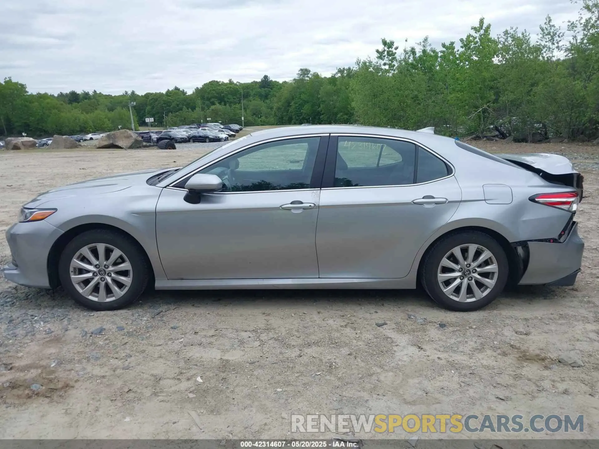 14 Photograph of a damaged car 4T1B11HKXKU746948 TOYOTA CAMRY 2019