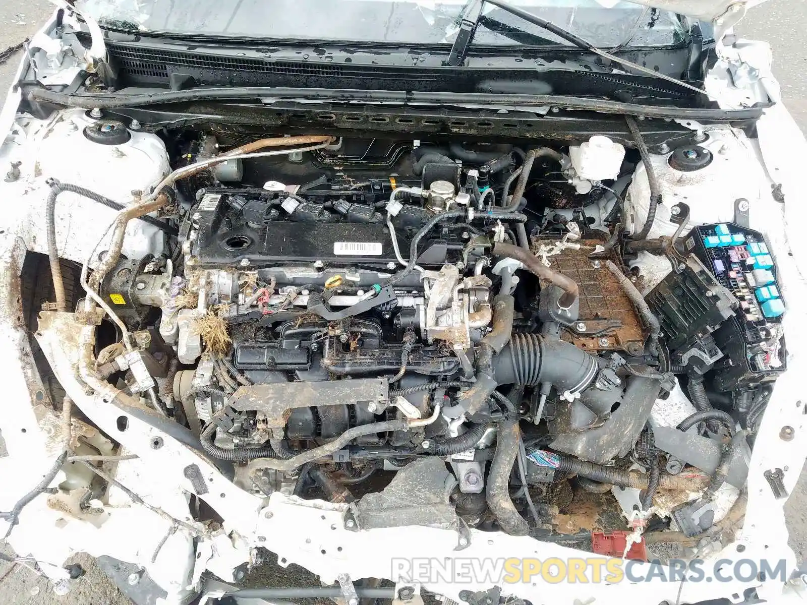 7 Photograph of a damaged car 4T1B11HKXKU758906 TOYOTA CAMRY 2019