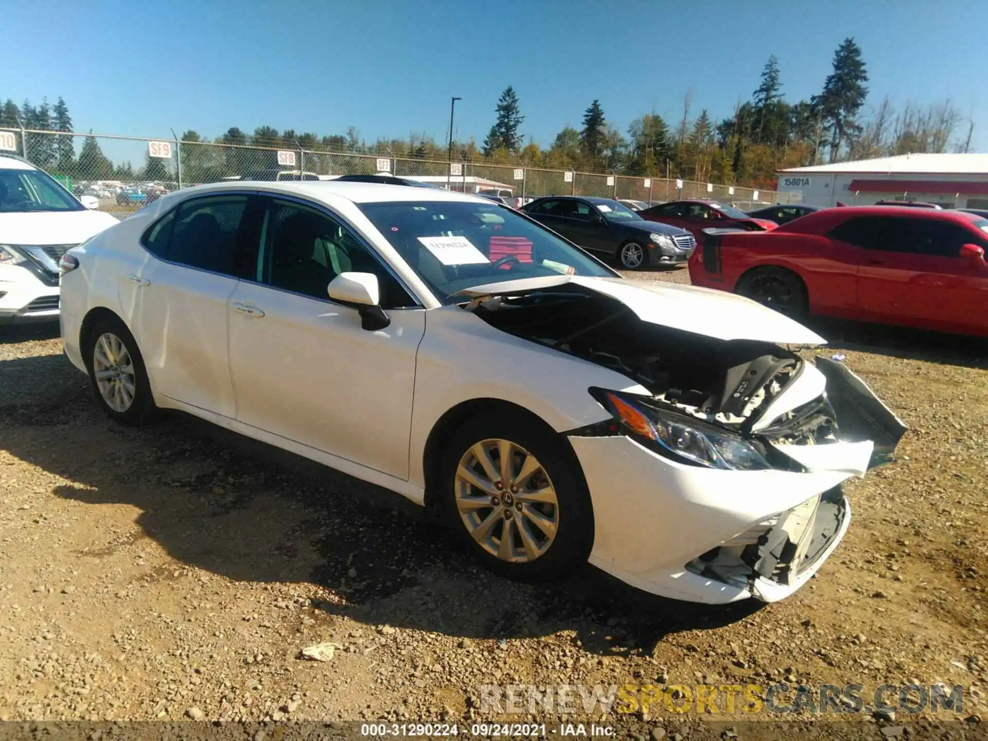 1 Photograph of a damaged car 4T1B11HKXKU773762 TOYOTA CAMRY 2019