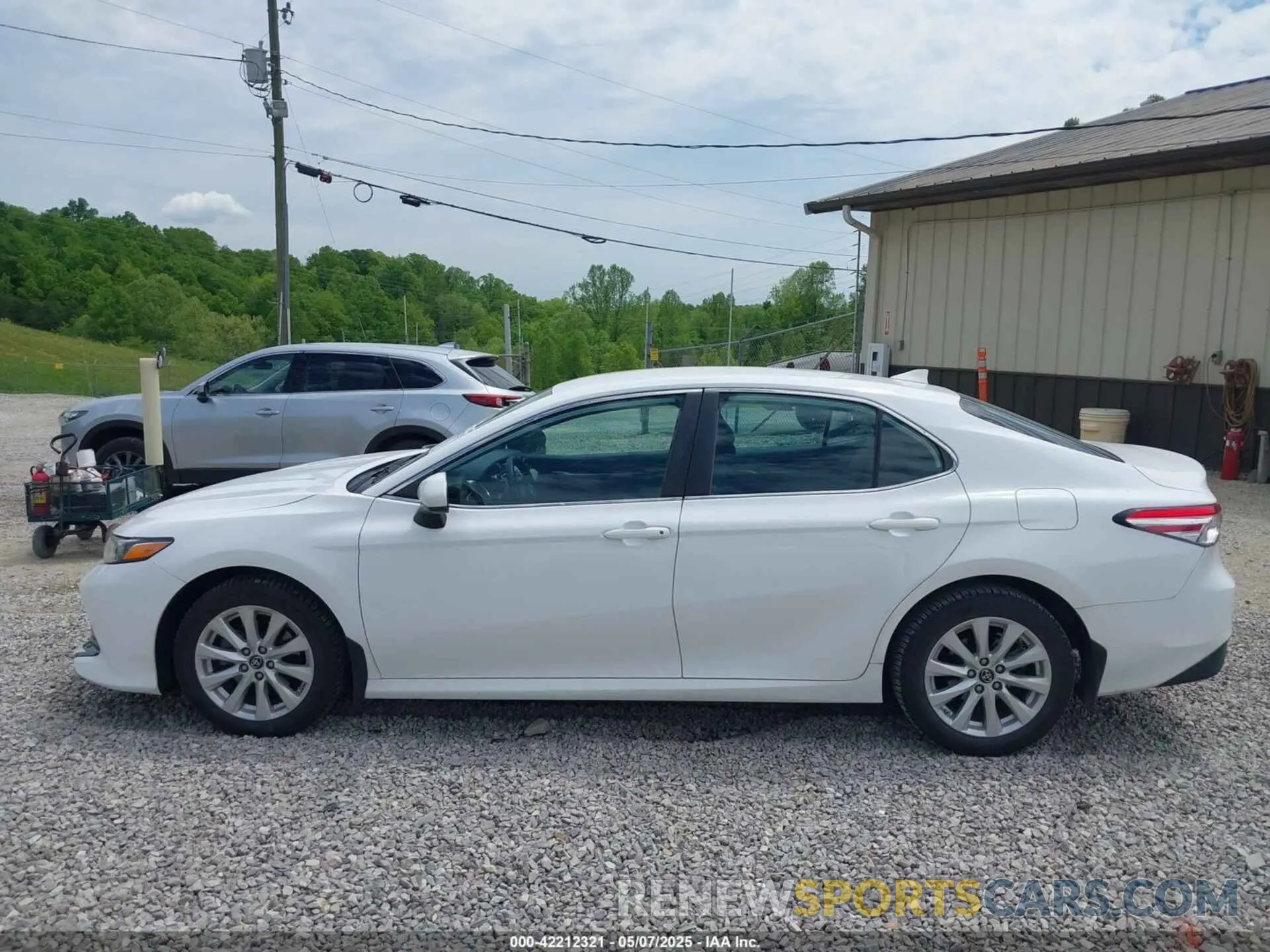 14 Photograph of a damaged car 4T1B11HKXKU786639 TOYOTA CAMRY 2019