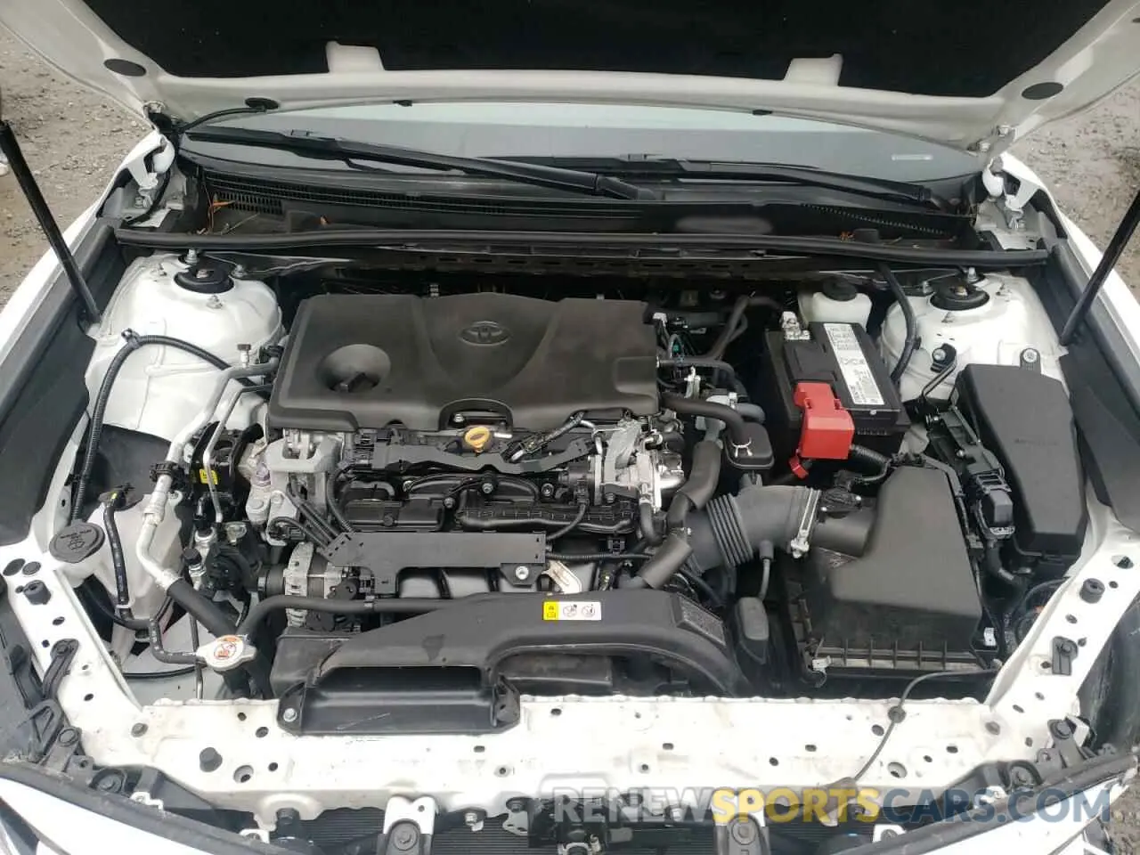 7 Photograph of a damaged car 4T1B11HKXKU787421 TOYOTA CAMRY 2019