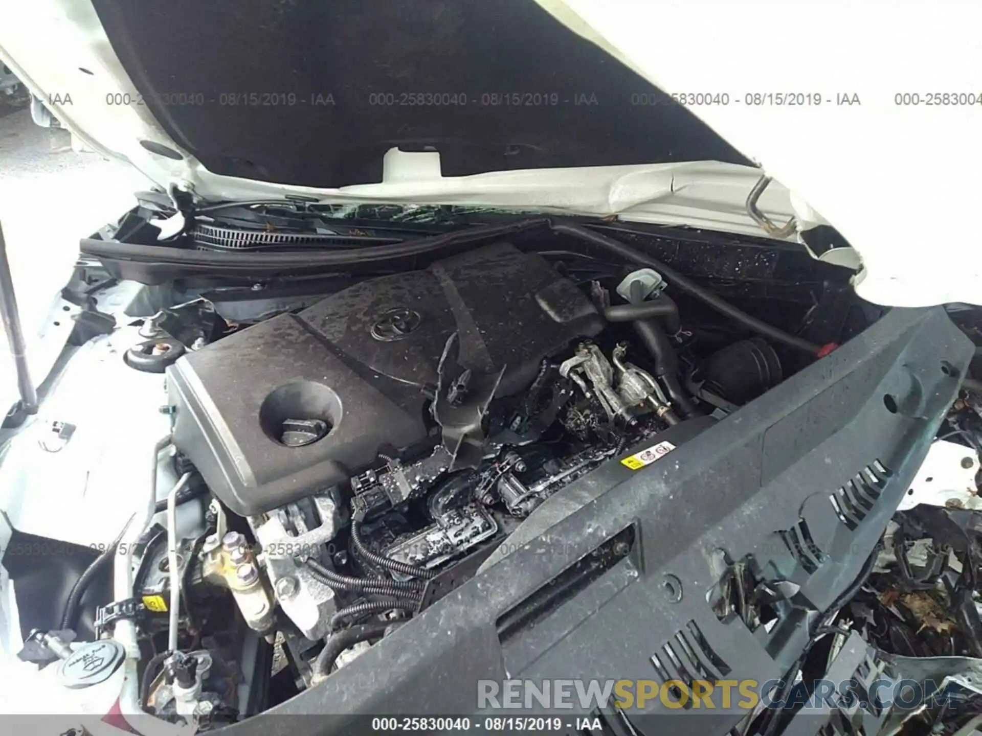 10 Photograph of a damaged car 4T1B11HKXKU803830 TOYOTA CAMRY 2019