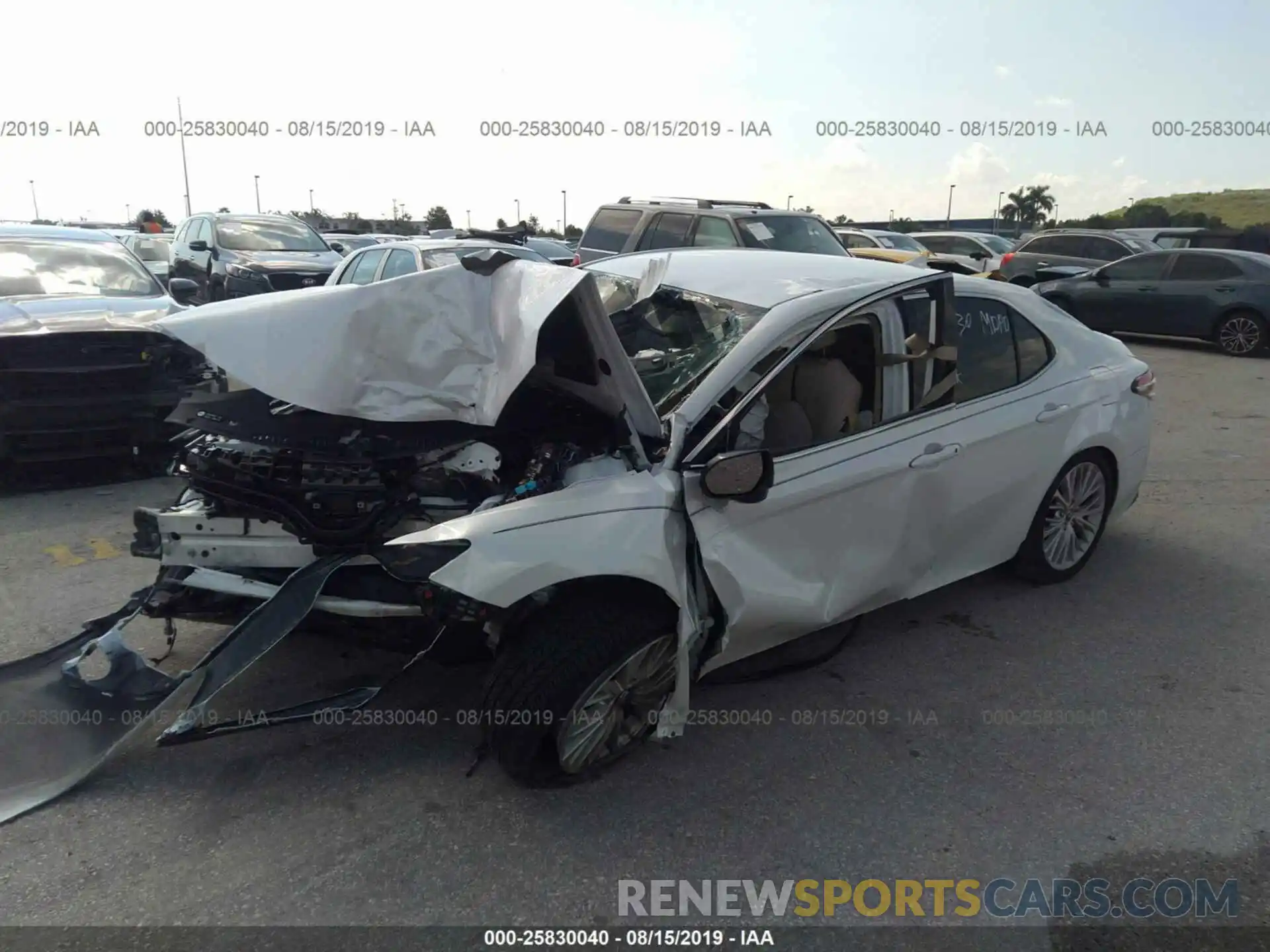 2 Photograph of a damaged car 4T1B11HKXKU803830 TOYOTA CAMRY 2019