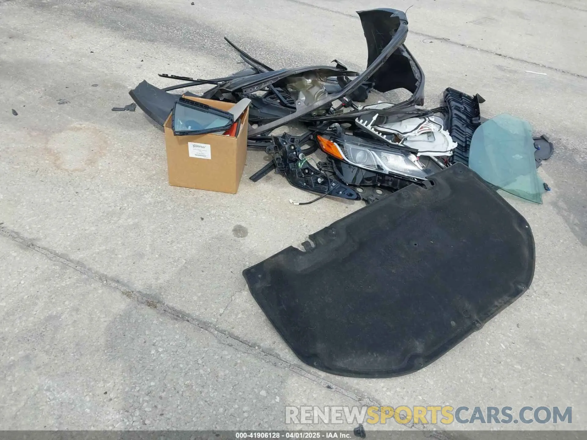 12 Photograph of a damaged car 4T1B11HKXKU818442 TOYOTA CAMRY 2019