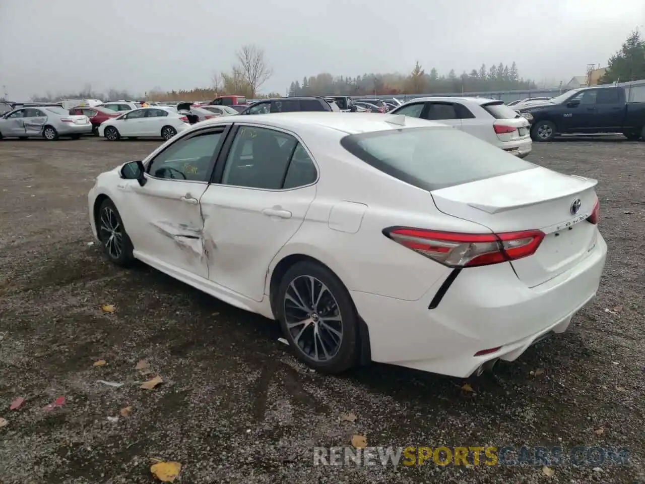 3 Photograph of a damaged car 4T1B21HK1KU513084 TOYOTA CAMRY 2019