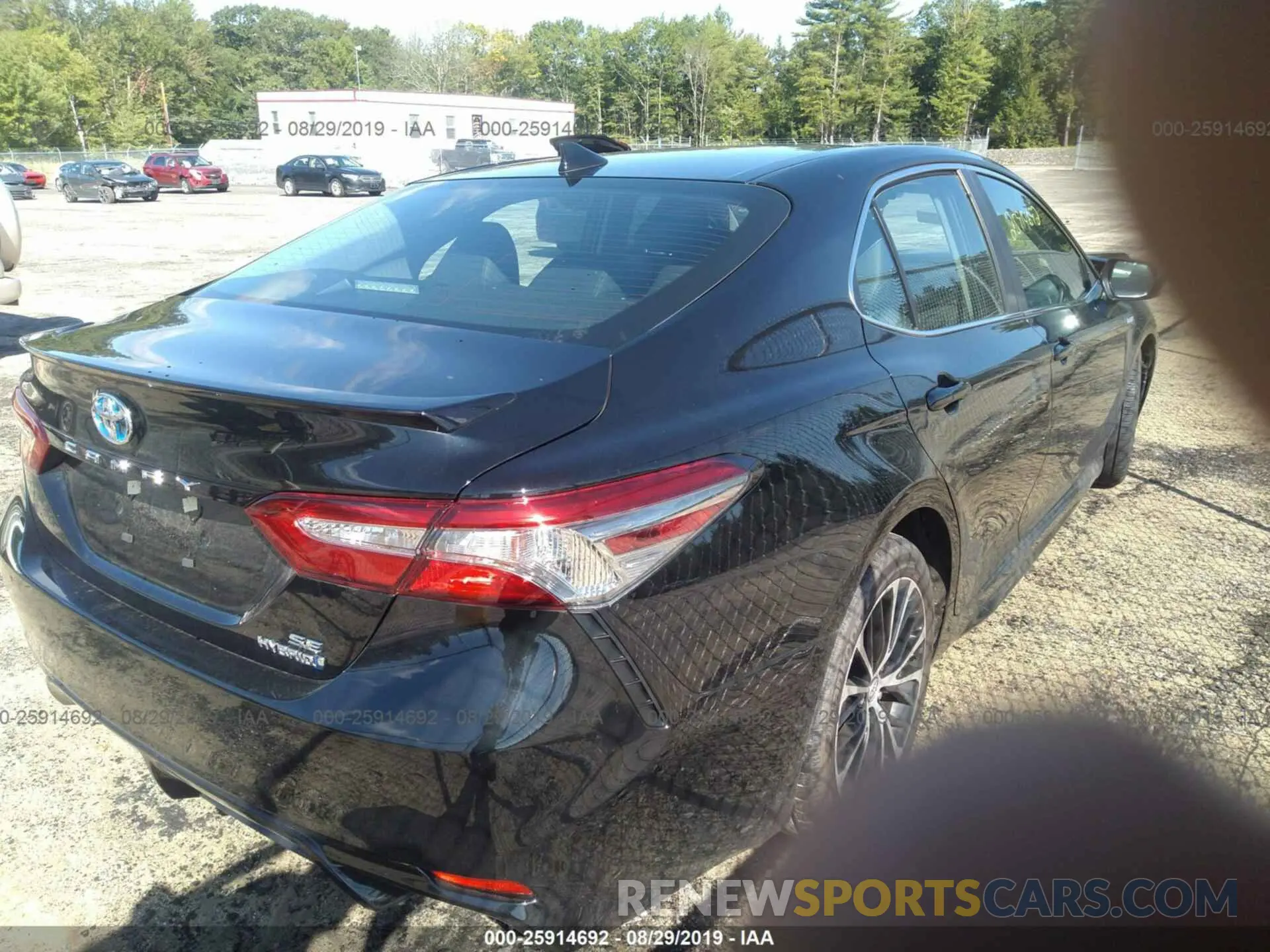 4 Photograph of a damaged car 4T1B21HK1KU517619 TOYOTA CAMRY 2019