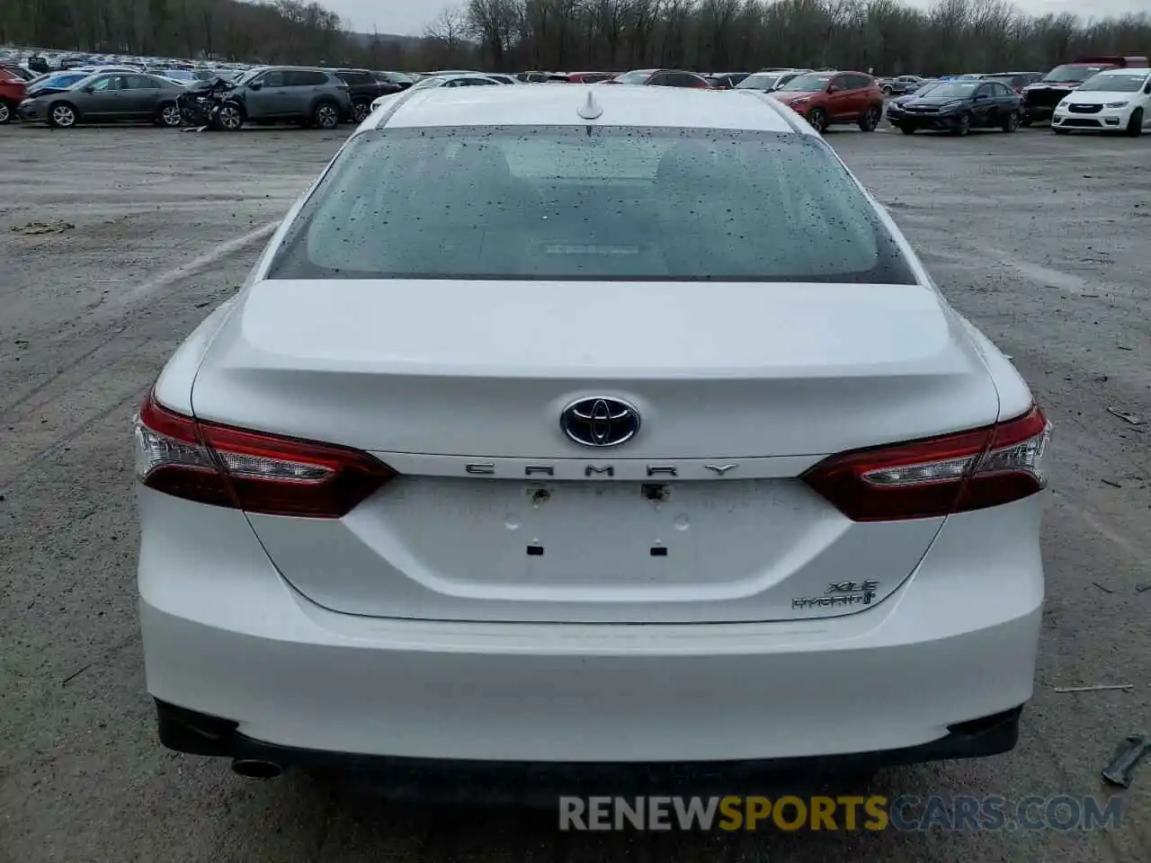 6 Photograph of a damaged car 4T1B21HK4KU520840 TOYOTA CAMRY 2019