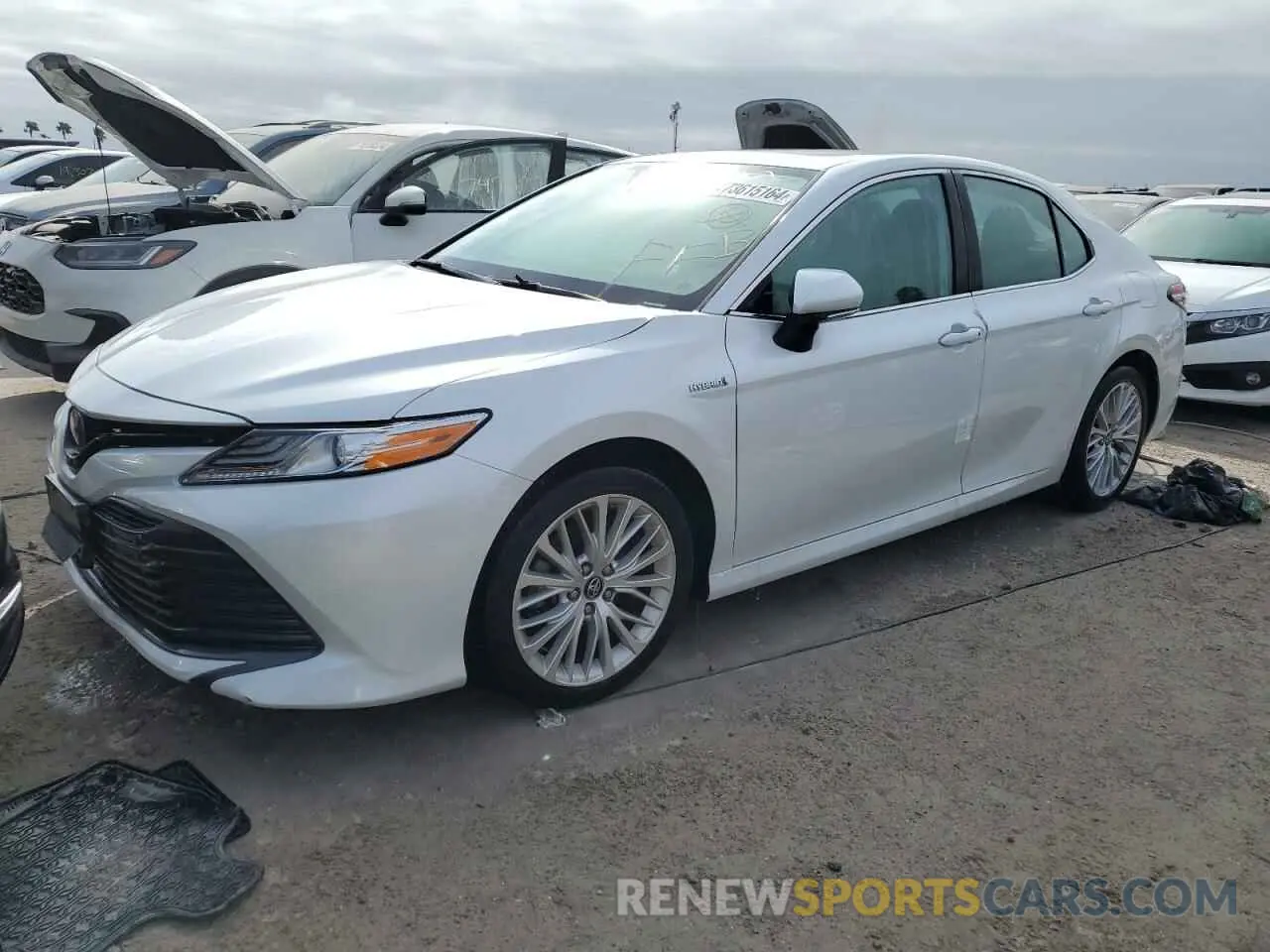 1 Photograph of a damaged car 4T1B21HK5KU515369 TOYOTA CAMRY 2019