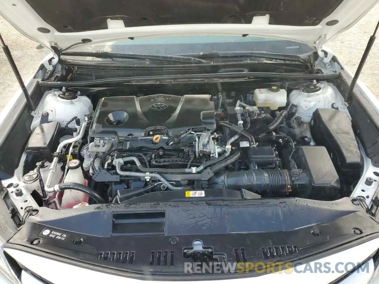11 Photograph of a damaged car 4T1B21HK5KU515369 TOYOTA CAMRY 2019