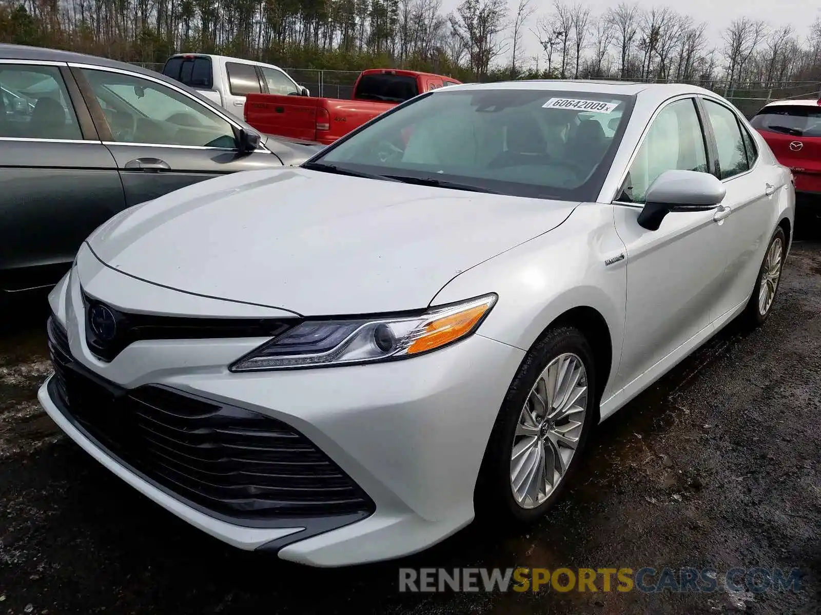 2 Photograph of a damaged car 4T1B21HK7KU014385 TOYOTA CAMRY 2019