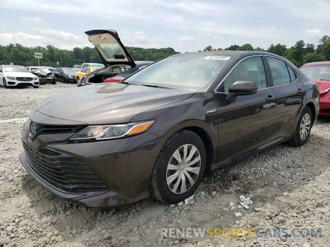 2 Photograph of a damaged car 4T1B31HK0KU005296 TOYOTA CAMRY 2019