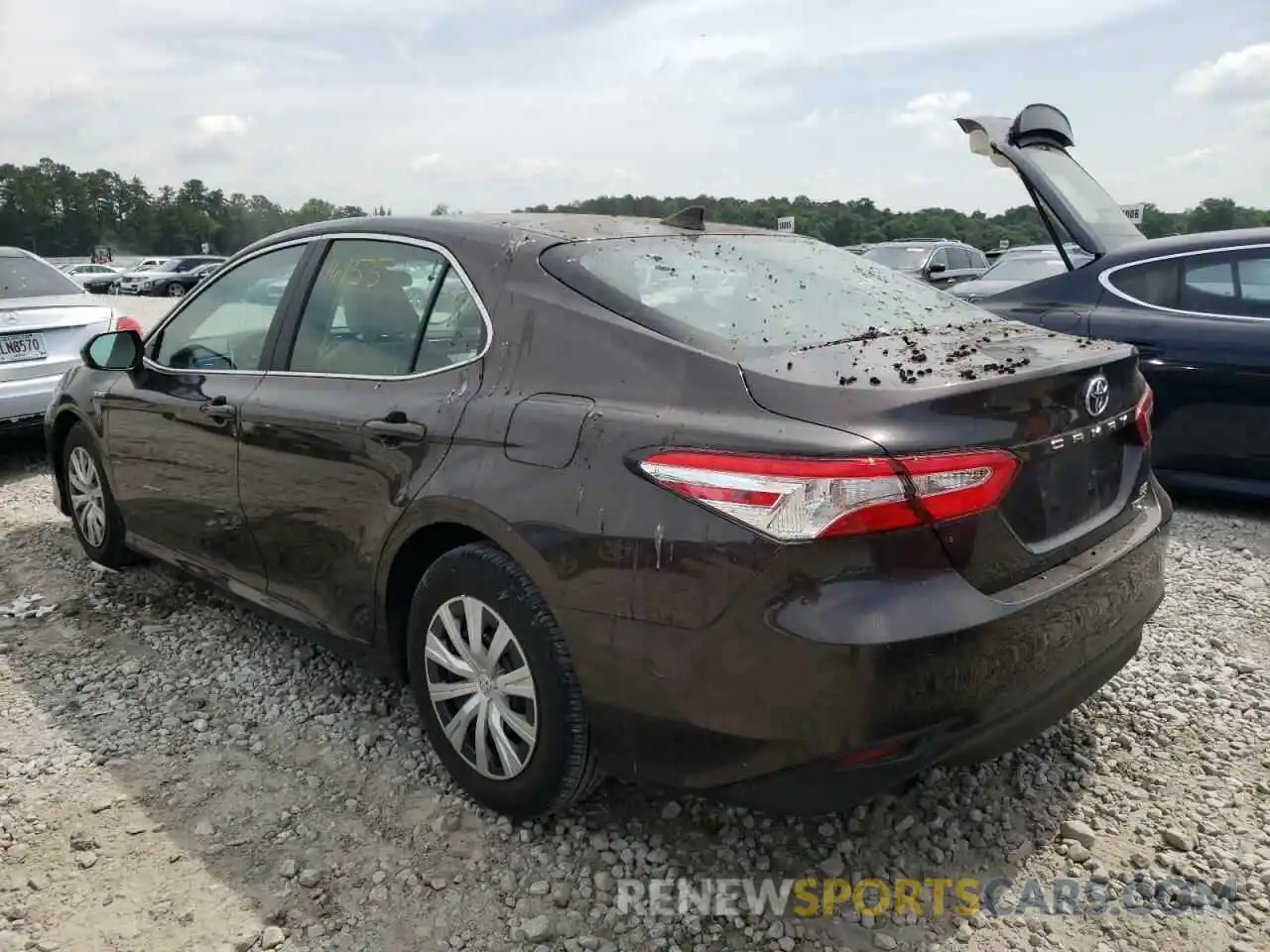 3 Photograph of a damaged car 4T1B31HK0KU005296 TOYOTA CAMRY 2019