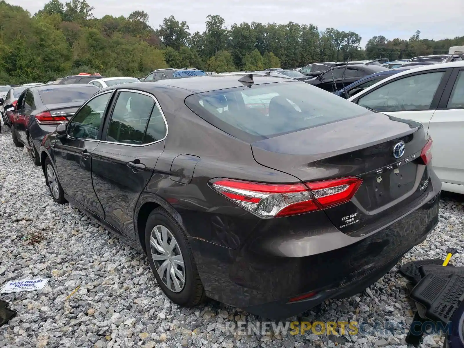 3 Photograph of a damaged car 4T1B31HK0KU509489 TOYOTA CAMRY 2019