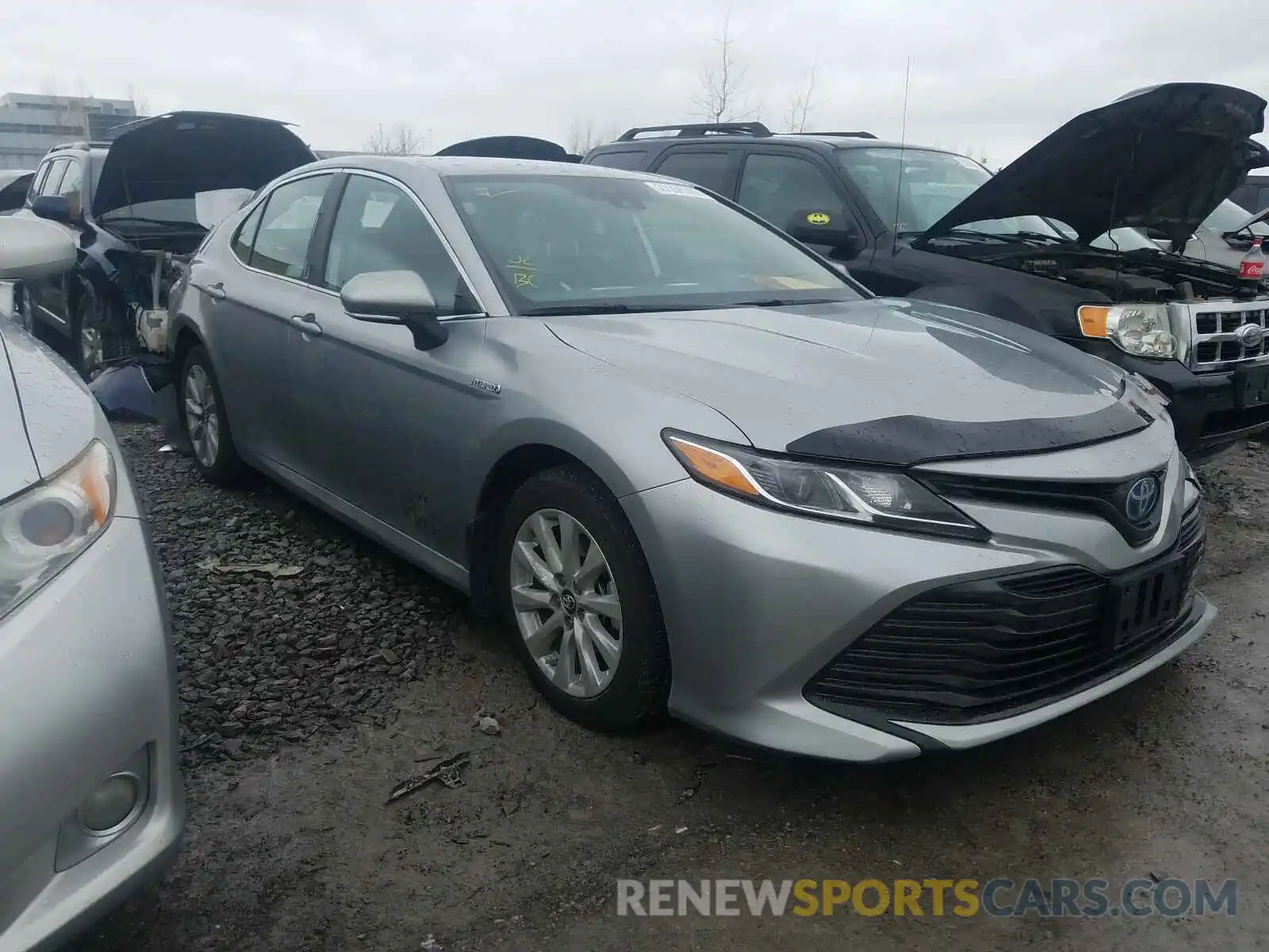 1 Photograph of a damaged car 4T1B31HK0KU513459 TOYOTA CAMRY 2019