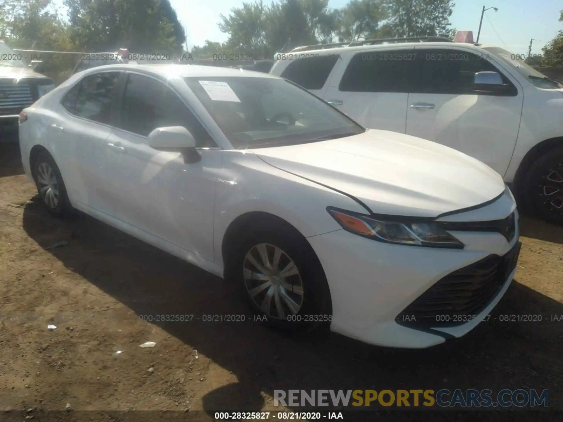 1 Photograph of a damaged car 4T1B31HK1KU005064 TOYOTA CAMRY 2019