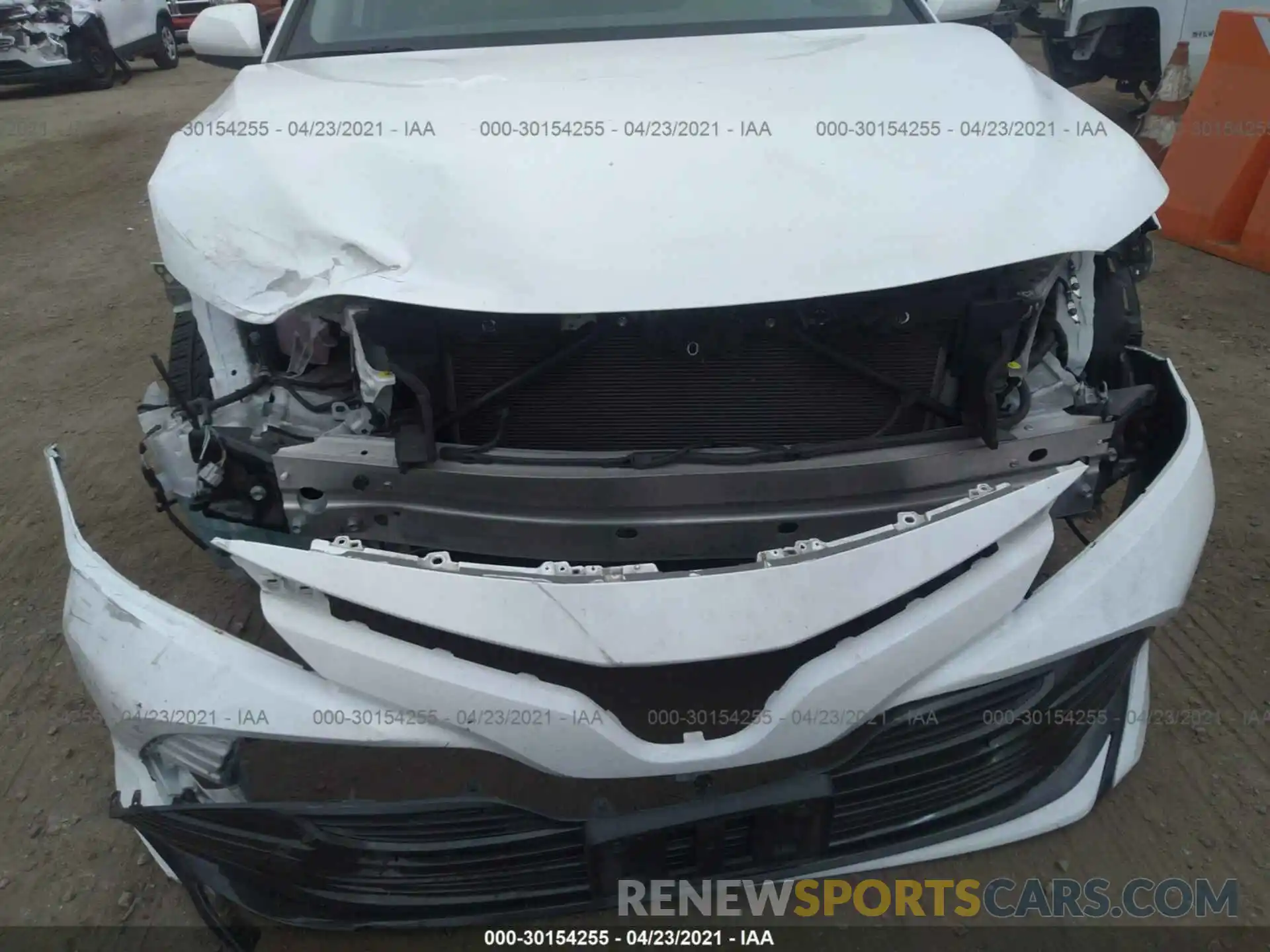 6 Photograph of a damaged car 4T1B31HK1KU509534 TOYOTA CAMRY 2019