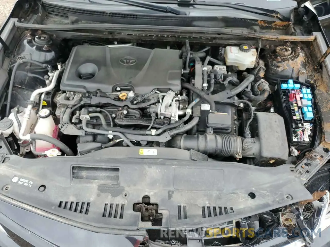 11 Photograph of a damaged car 4T1B31HK1KU512465 TOYOTA CAMRY 2019