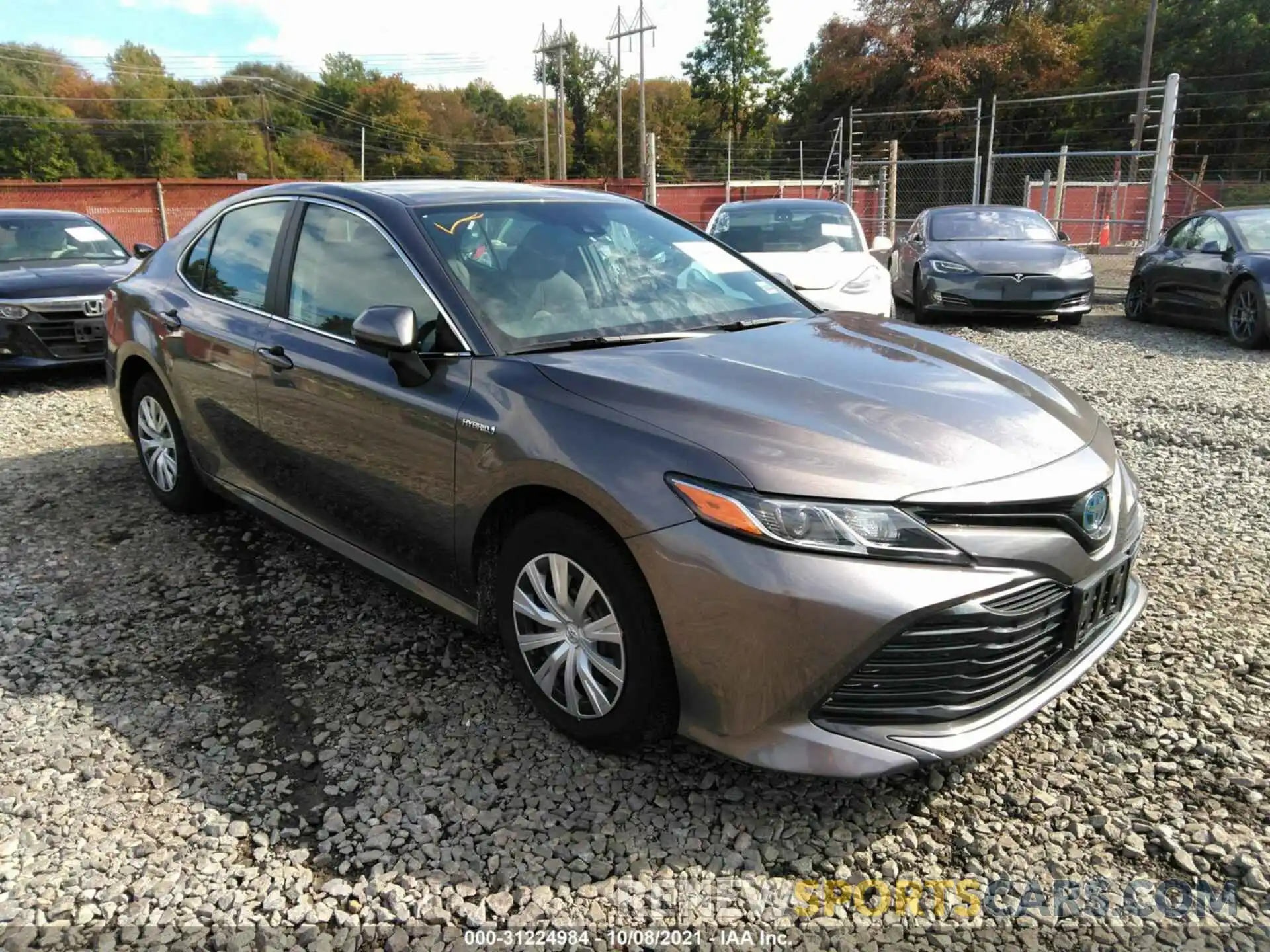 1 Photograph of a damaged car 4T1B31HK2KU509994 TOYOTA CAMRY 2019