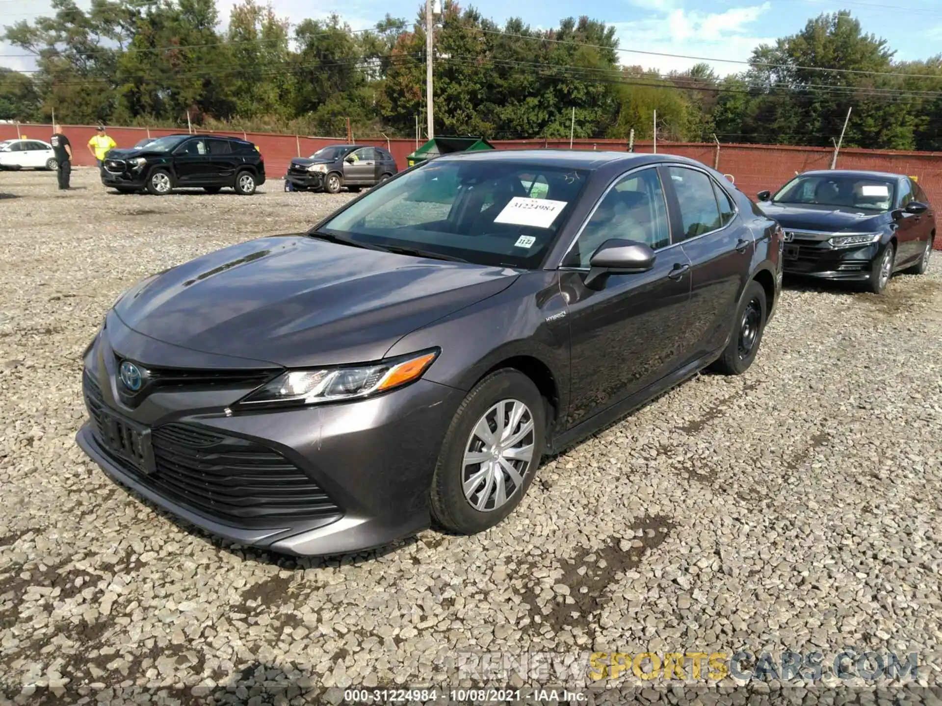 2 Photograph of a damaged car 4T1B31HK2KU509994 TOYOTA CAMRY 2019