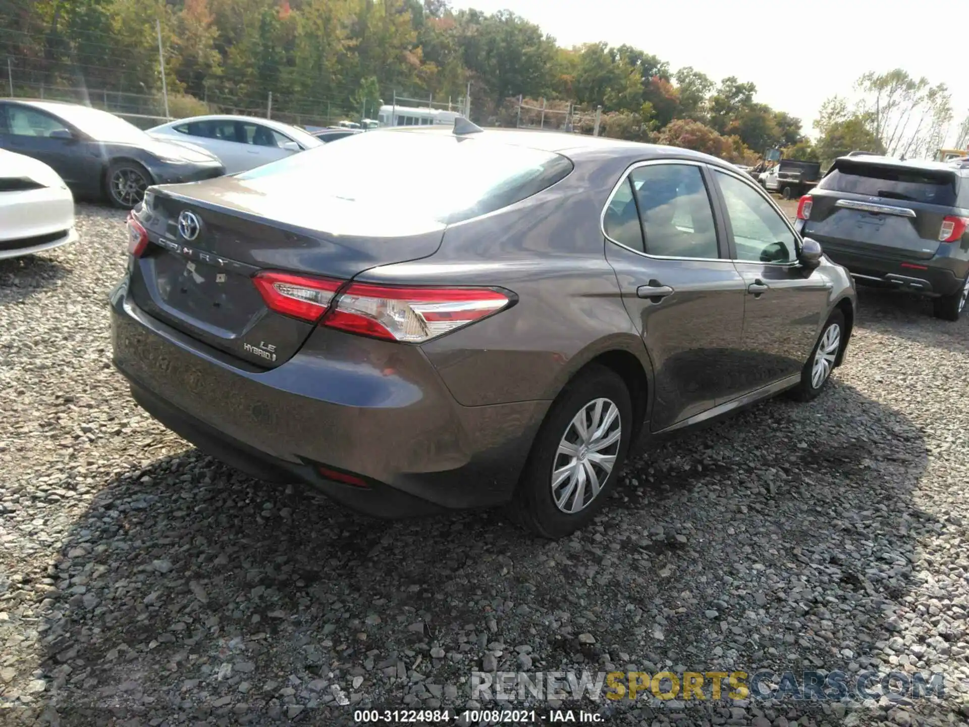 4 Photograph of a damaged car 4T1B31HK2KU509994 TOYOTA CAMRY 2019