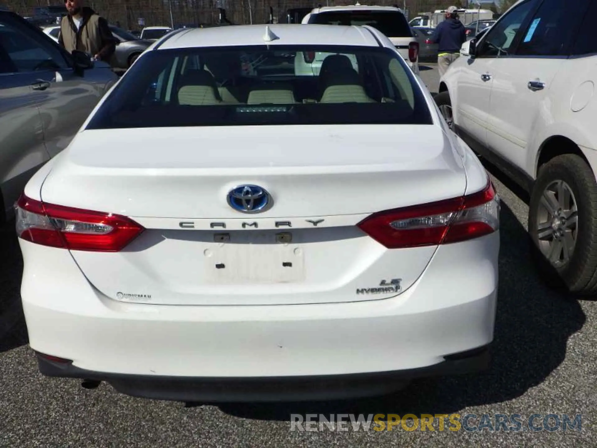 4 Photograph of a damaged car 4T1B31HK2KU511678 TOYOTA CAMRY 2019