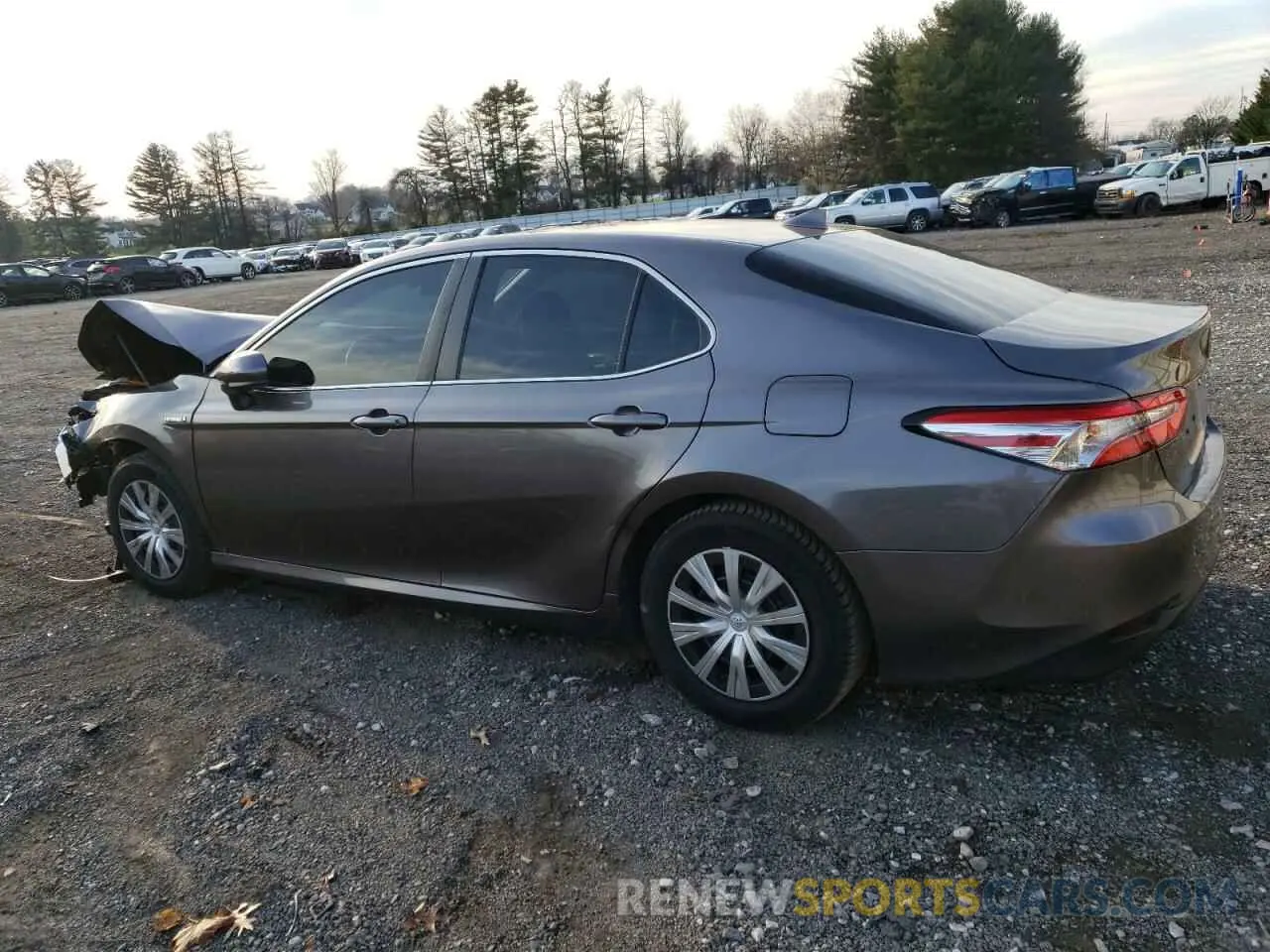 2 Photograph of a damaged car 4T1B31HK2KU512653 TOYOTA CAMRY 2019