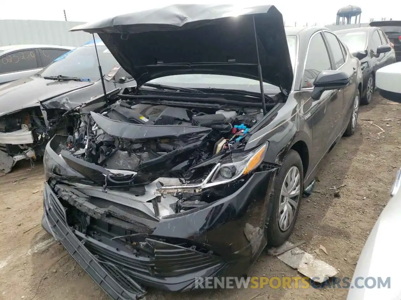 2 Photograph of a damaged car 4T1B31HK2KU516301 TOYOTA CAMRY 2019