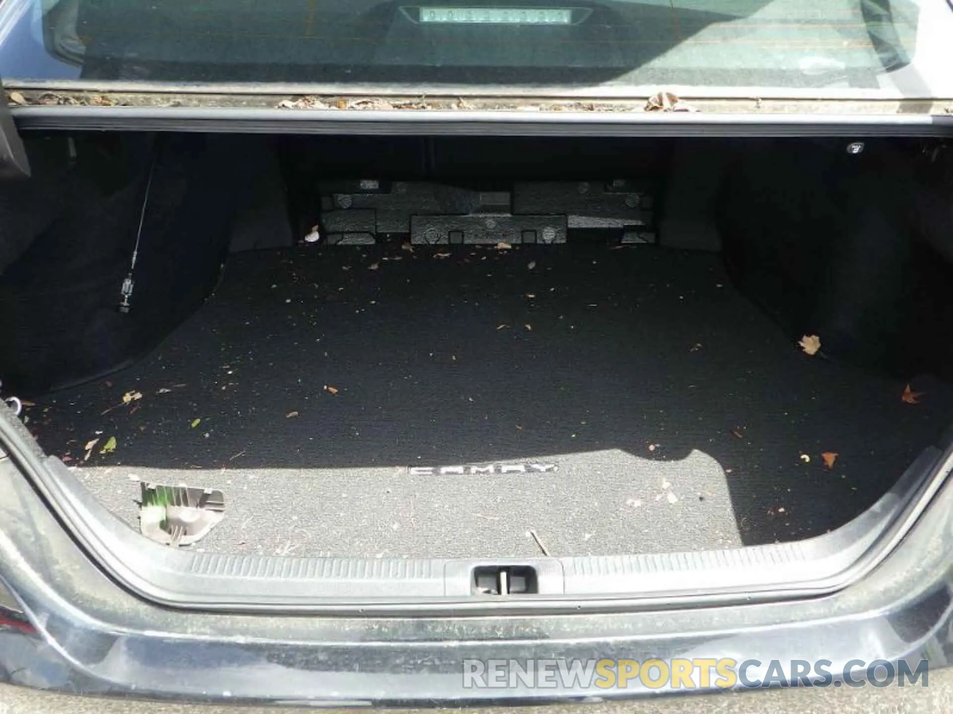 19 Photograph of a damaged car 4T1B31HK3KU512662 TOYOTA CAMRY 2019