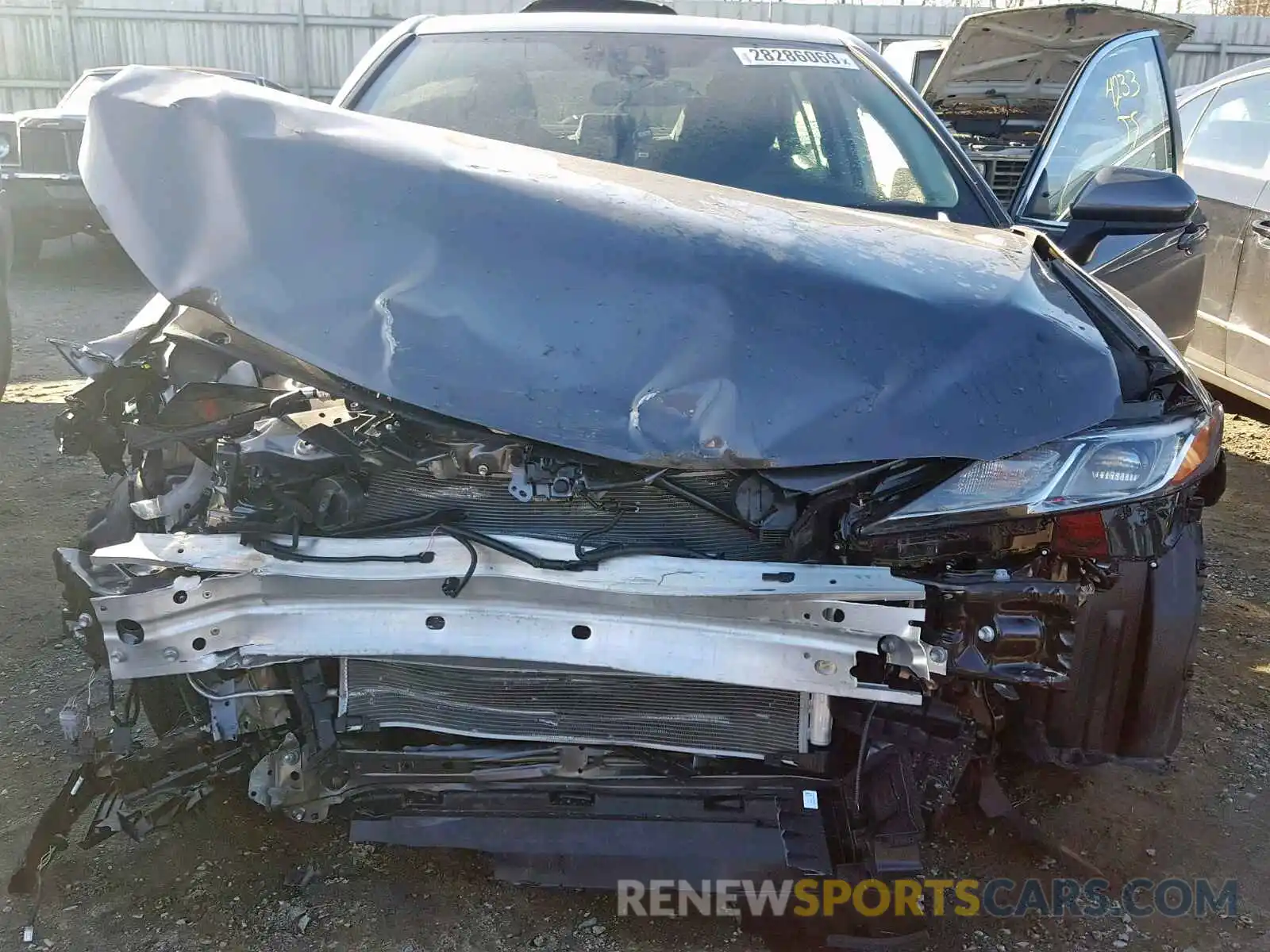 7 Photograph of a damaged car 4T1B31HK5KU005049 TOYOTA CAMRY 2019