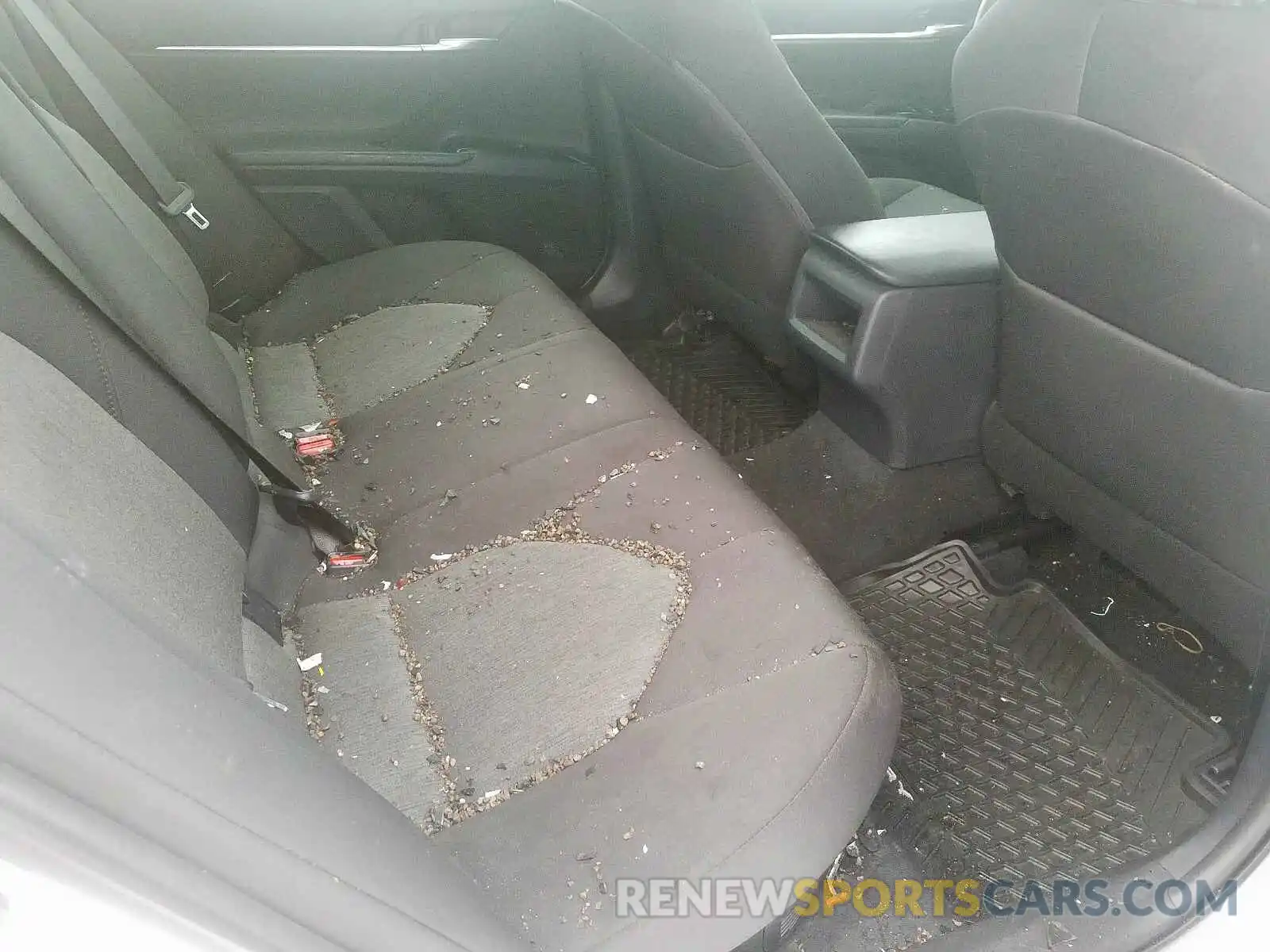 6 Photograph of a damaged car 4T1B31HK5KU509908 TOYOTA CAMRY 2019