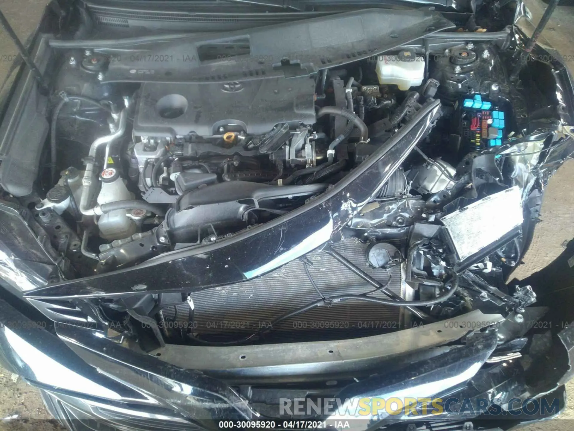 10 Photograph of a damaged car 4T1B31HK5KU516843 TOYOTA CAMRY 2019