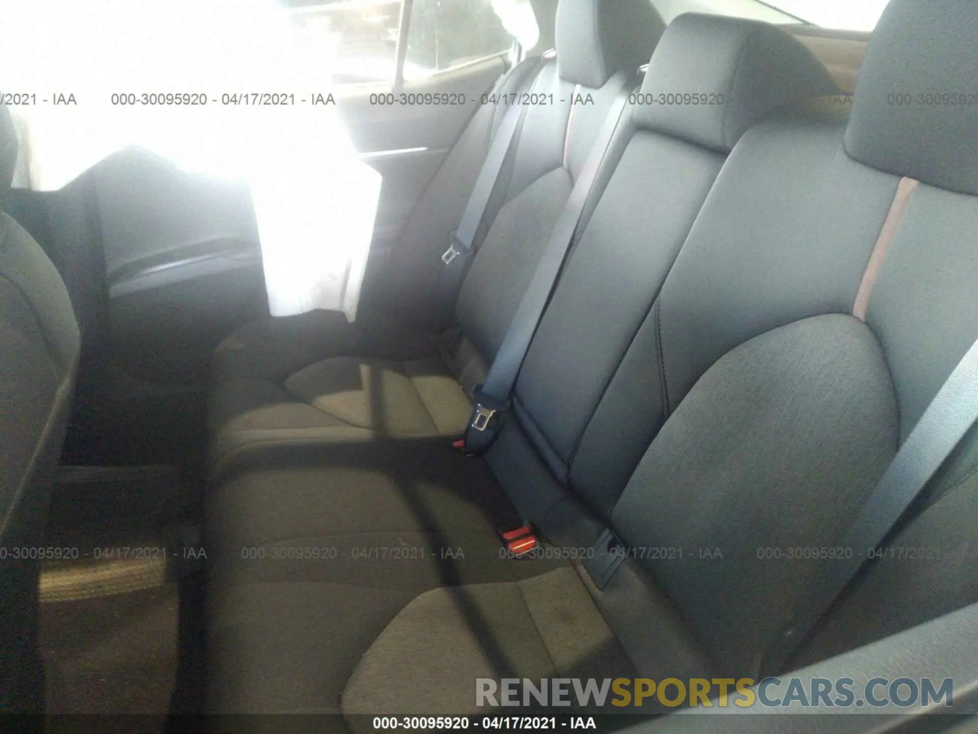 8 Photograph of a damaged car 4T1B31HK5KU516843 TOYOTA CAMRY 2019