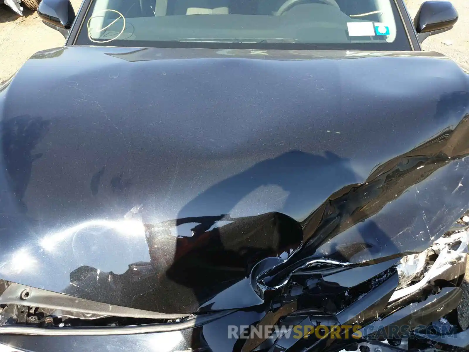 7 Photograph of a damaged car 4T1B31HK6KU005772 TOYOTA CAMRY 2019