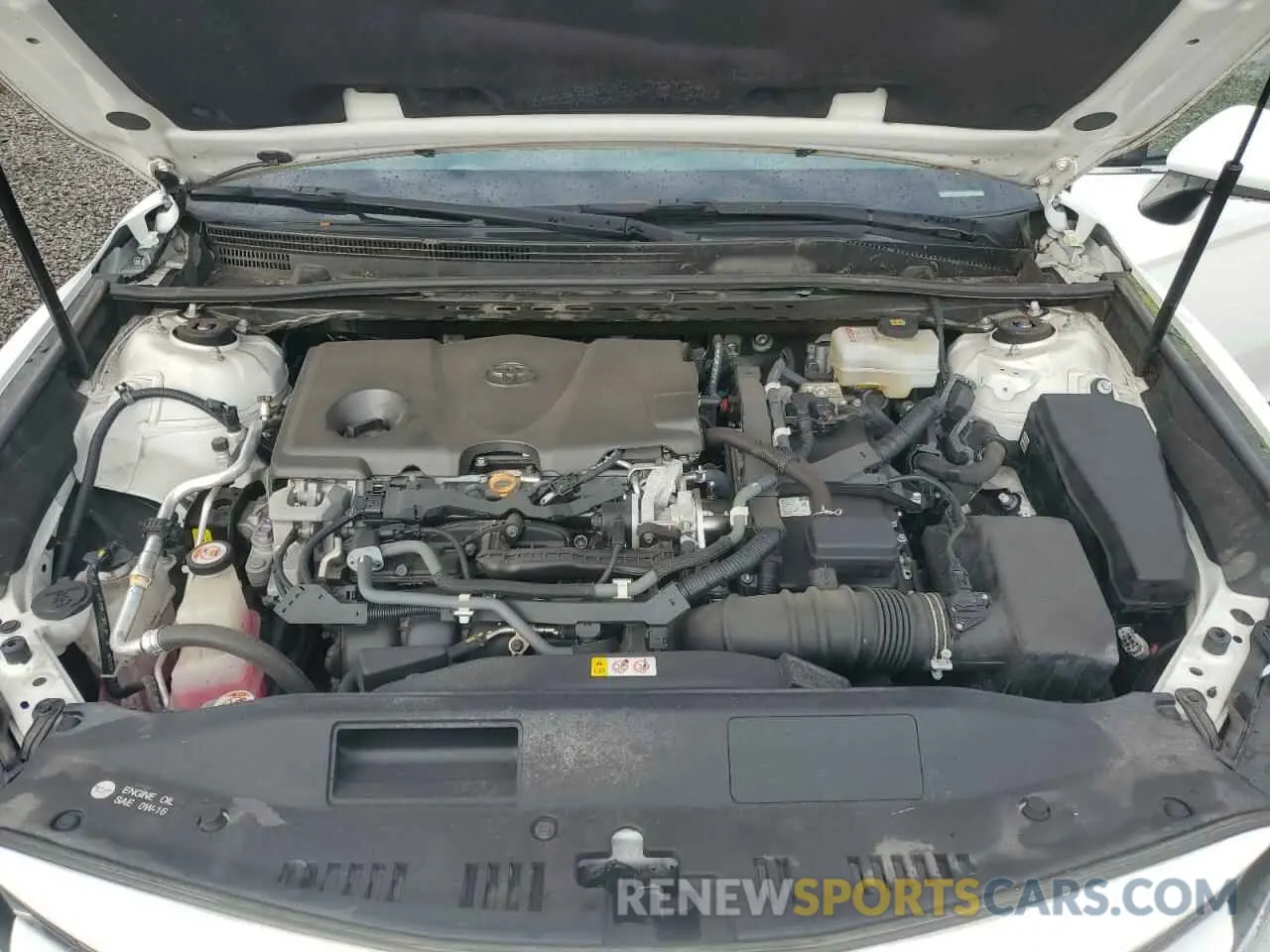 11 Photograph of a damaged car 4T1B31HK6KU512574 TOYOTA CAMRY 2019
