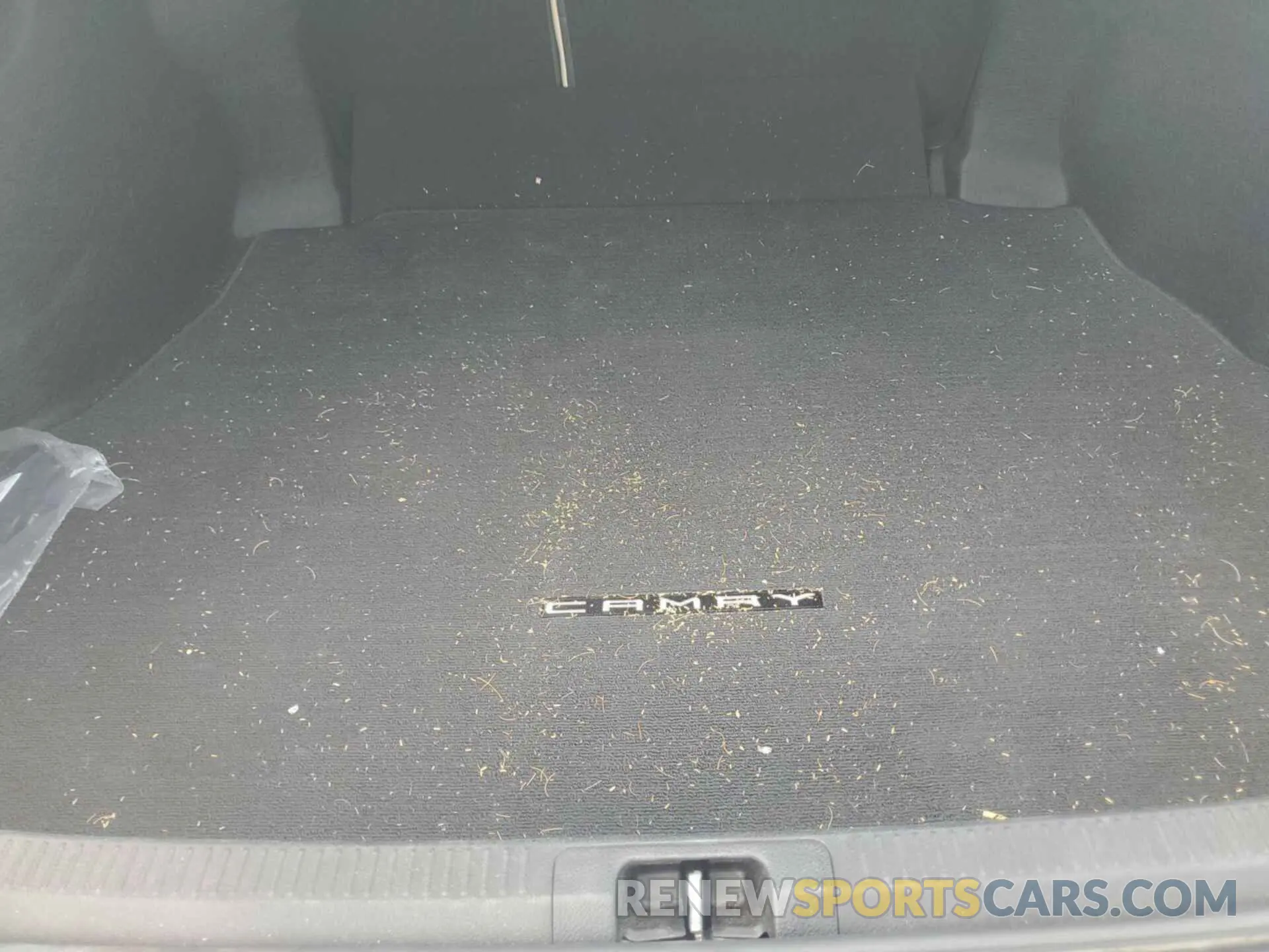11 Photograph of a damaged car 4T1B31HK7KU007661 TOYOTA CAMRY 2019