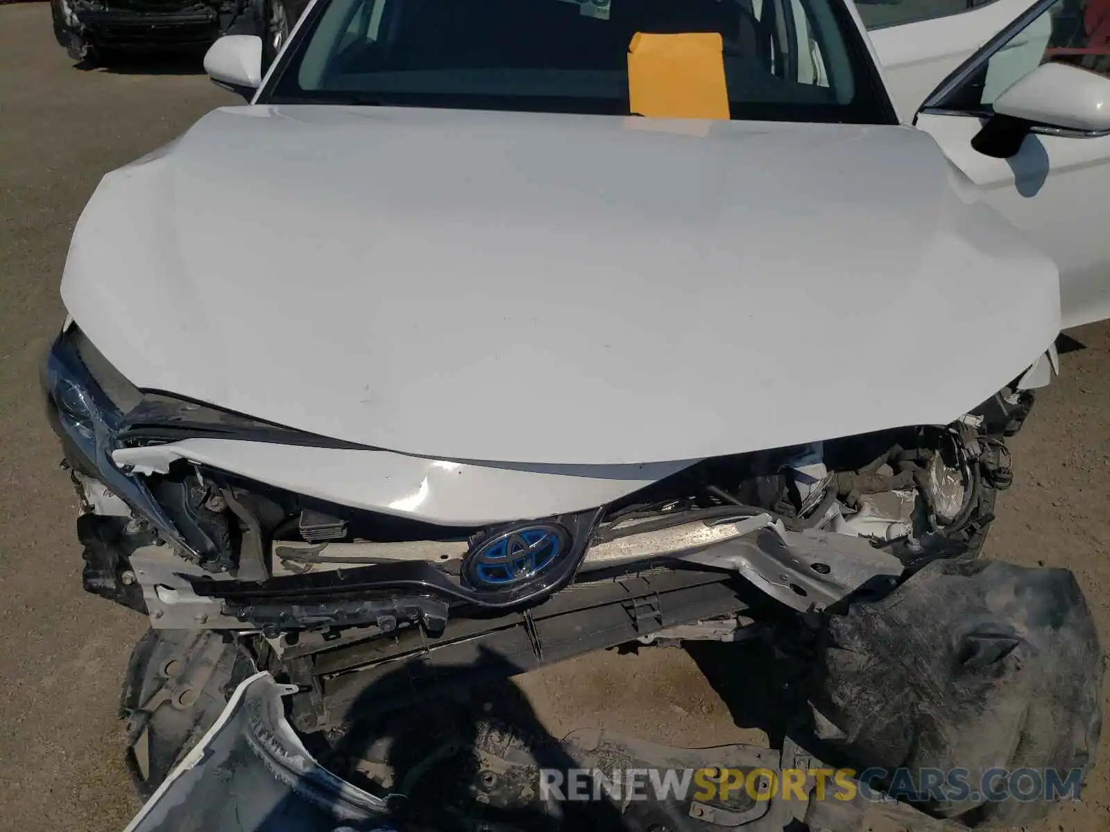 7 Photograph of a damaged car 4T1B31HK7KU509070 TOYOTA CAMRY 2019