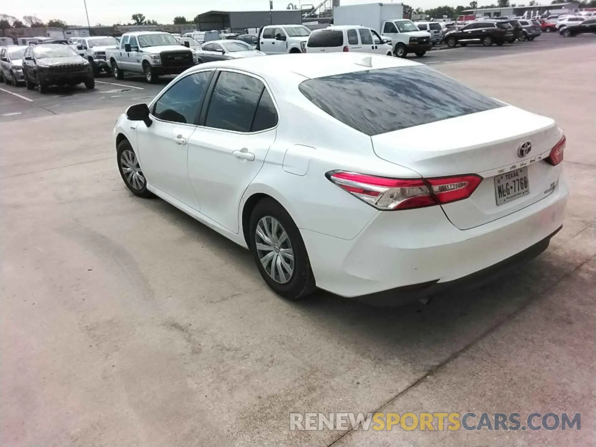 16 Photograph of a damaged car 4T1B31HK7KU511725 TOYOTA CAMRY 2019