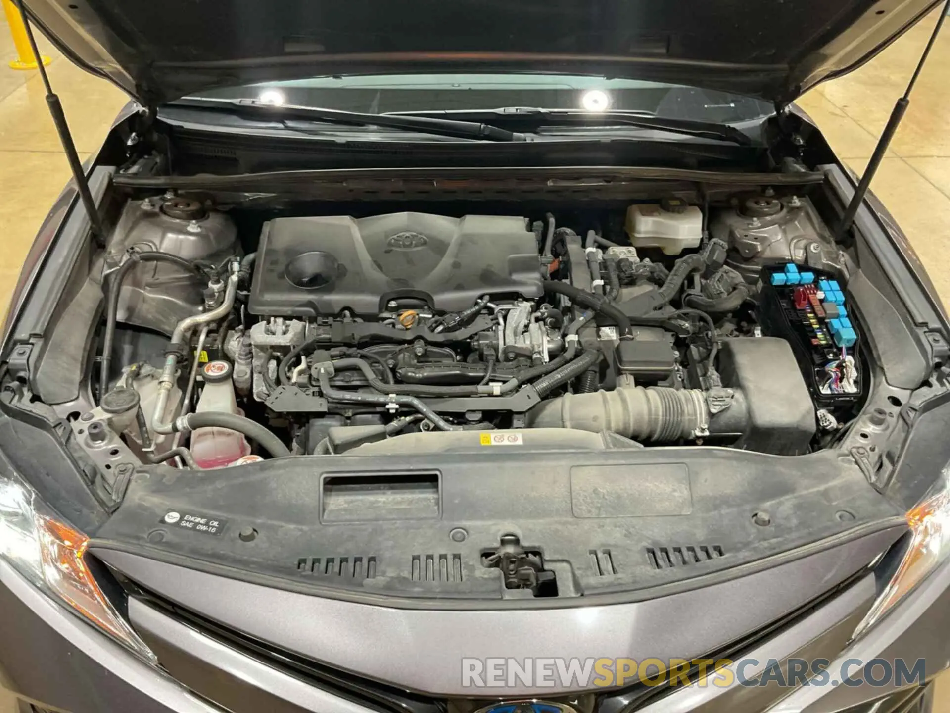 23 Photograph of a damaged car 4T1B31HK7KU511742 TOYOTA CAMRY 2019