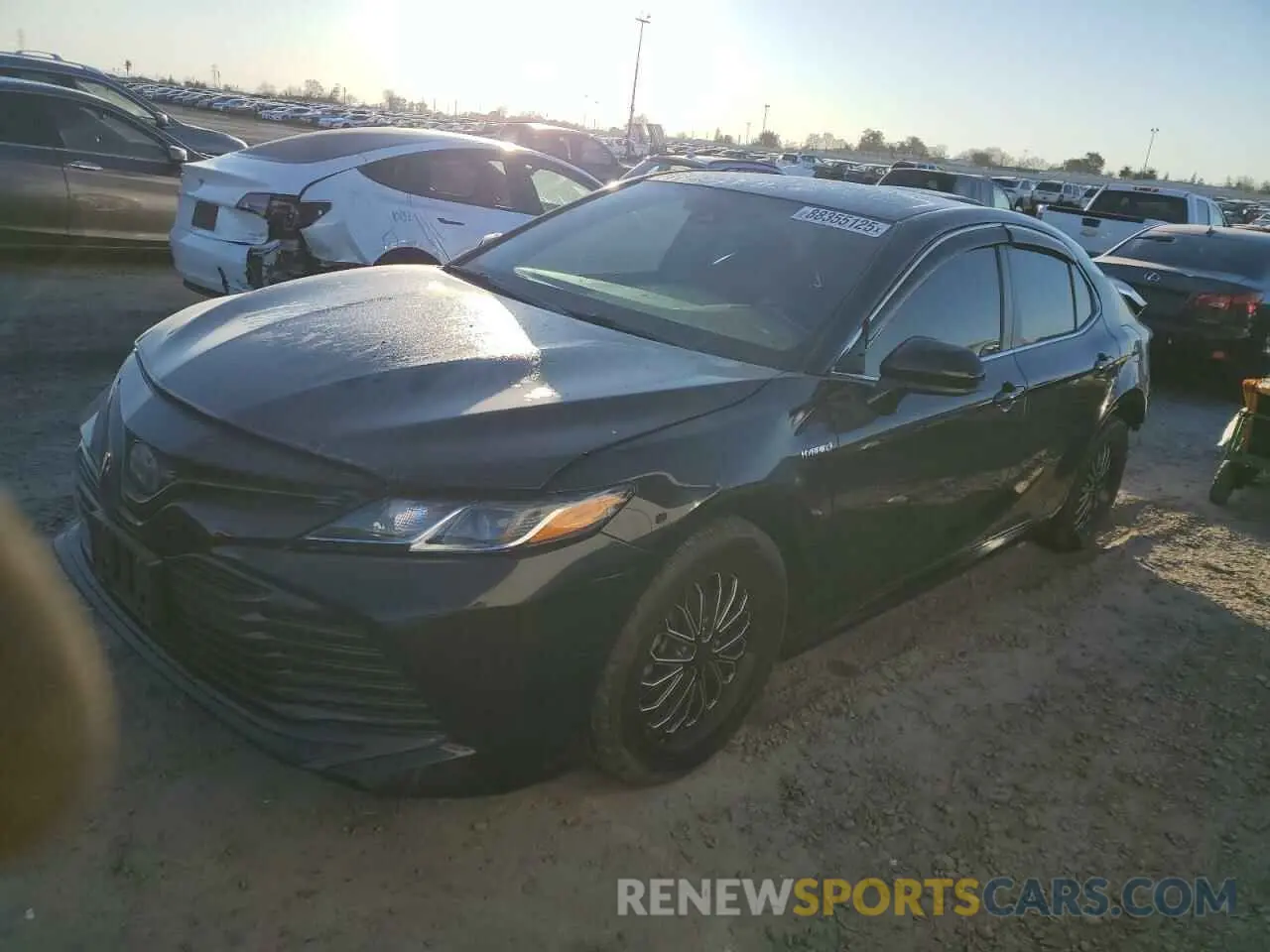 1 Photograph of a damaged car 4T1B31HK7KU512308 TOYOTA CAMRY 2019