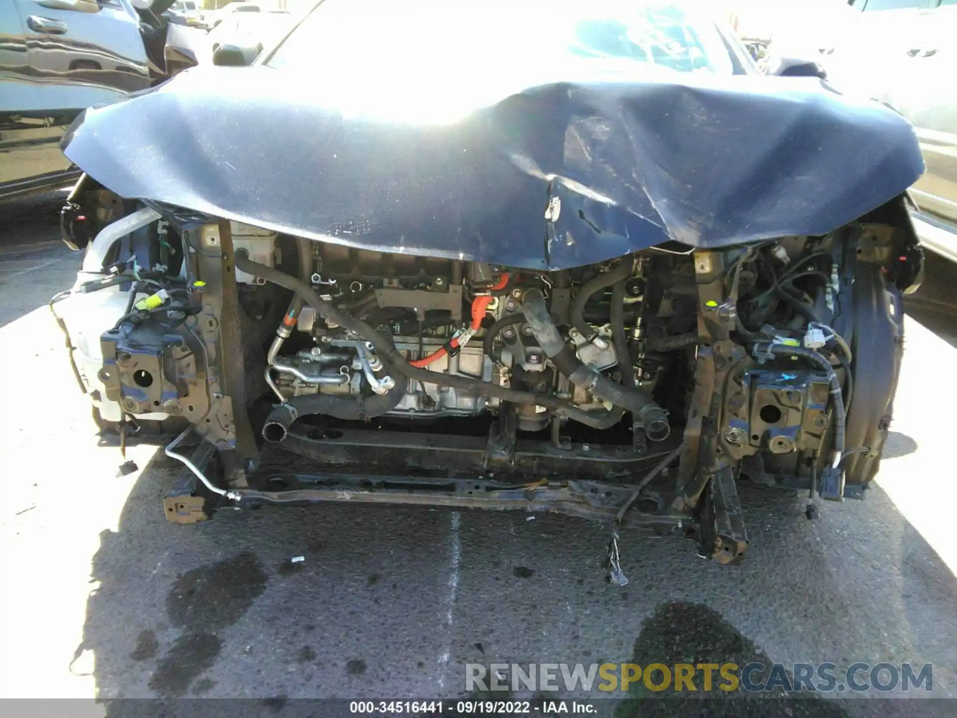 6 Photograph of a damaged car 4T1B31HK8KU005272 TOYOTA CAMRY 2019