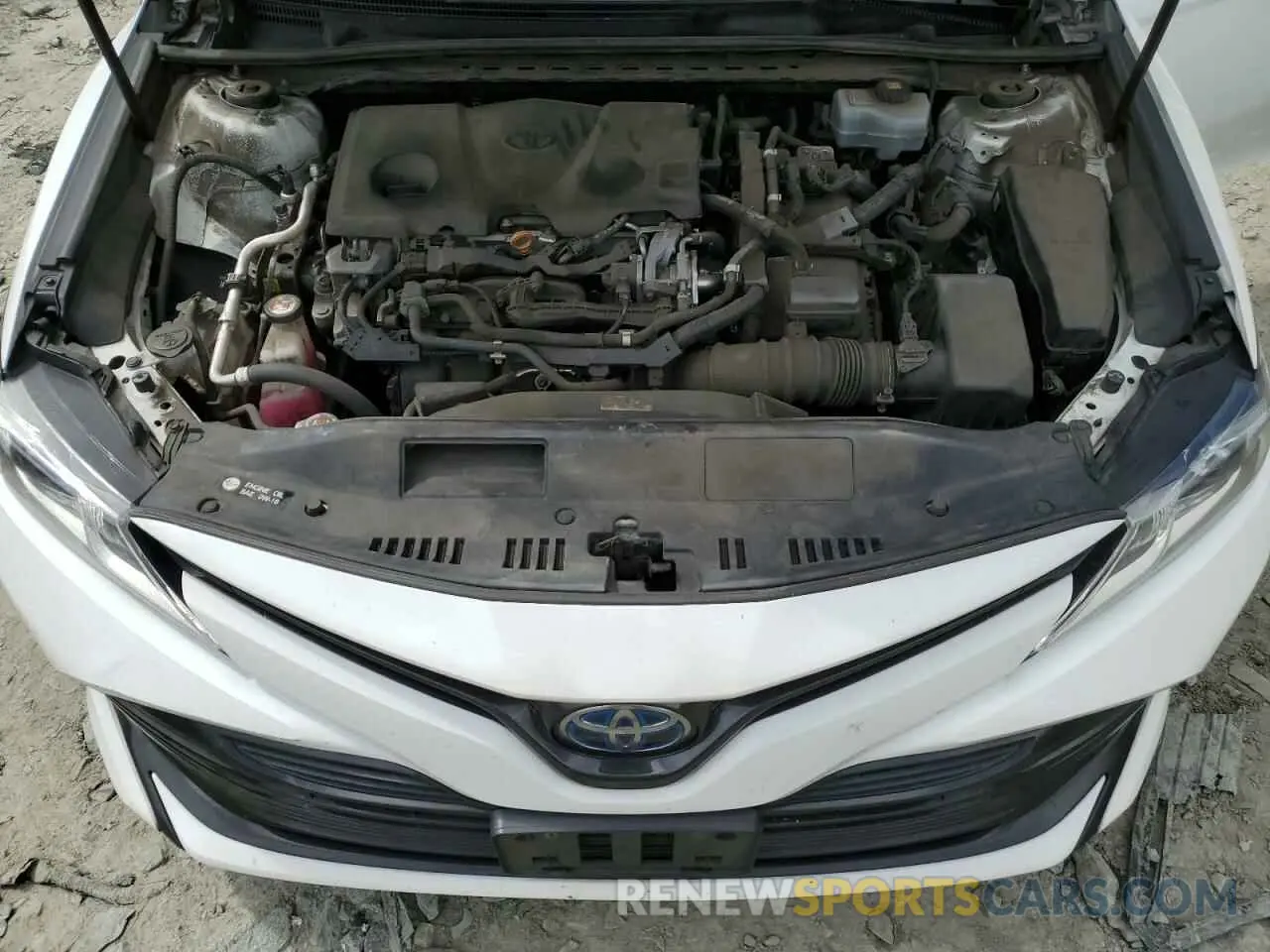 11 Photograph of a damaged car 4T1B31HK8KU513208 TOYOTA CAMRY 2019
